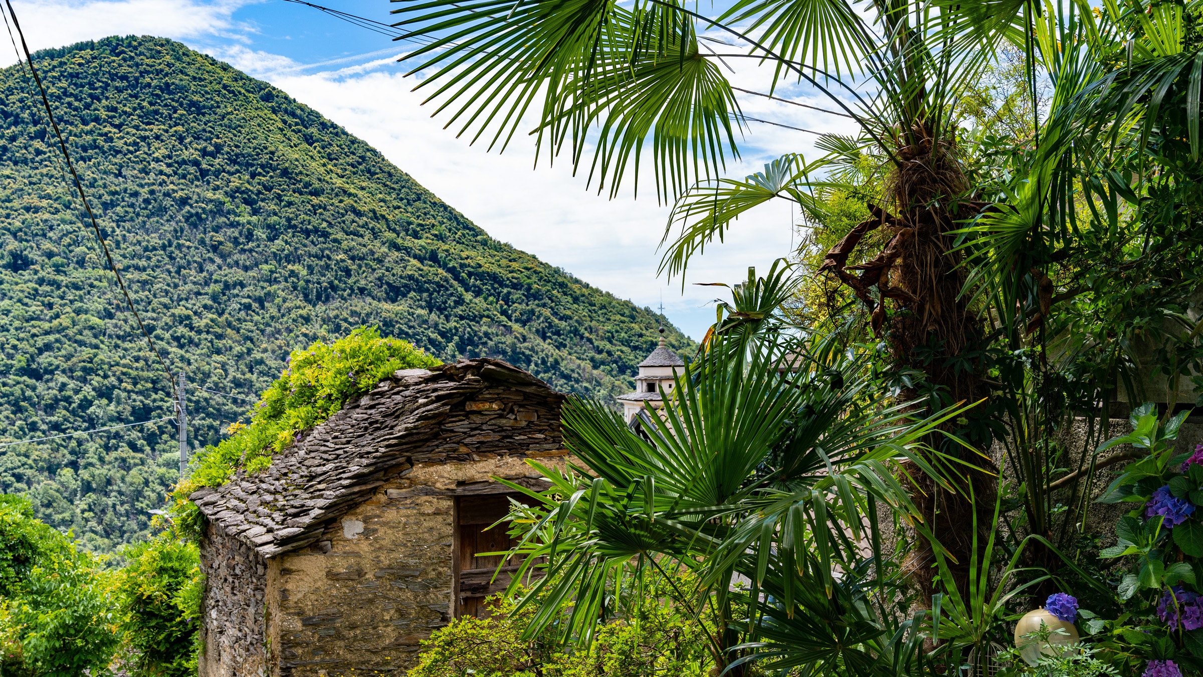 Villa Boffa