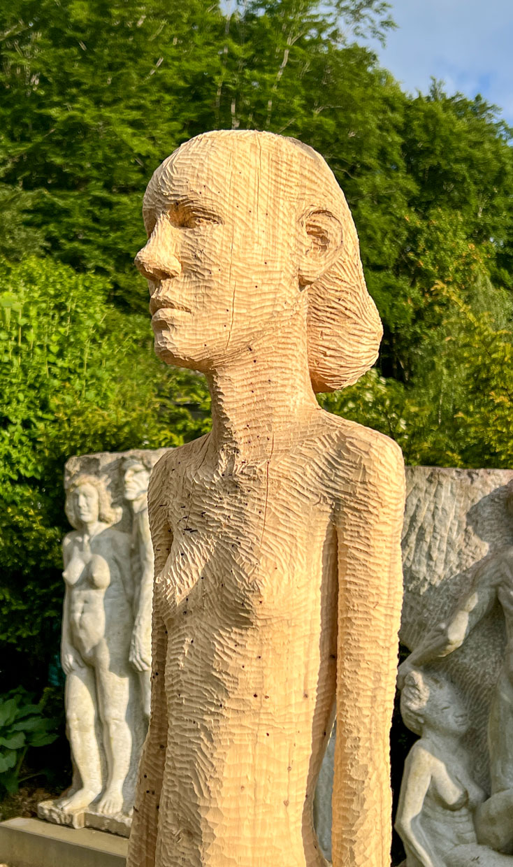 Herz­kammer