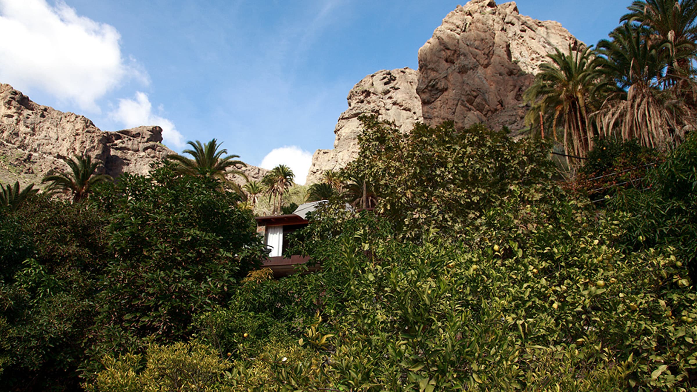 Finca Paraiso