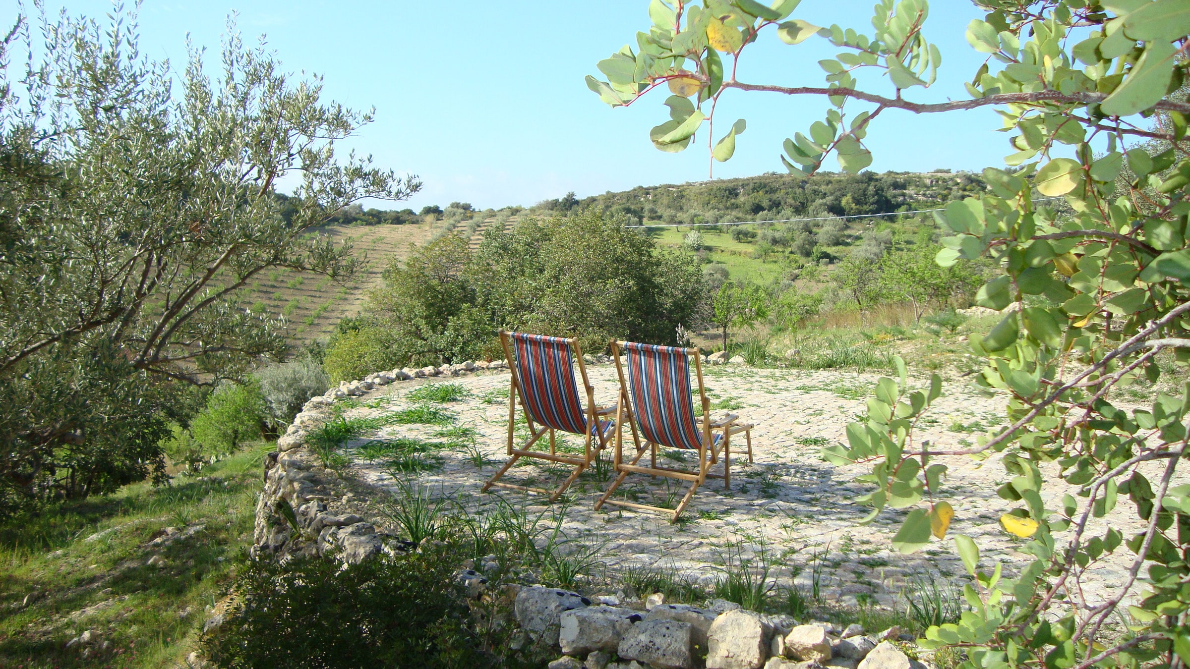 La Melagrana