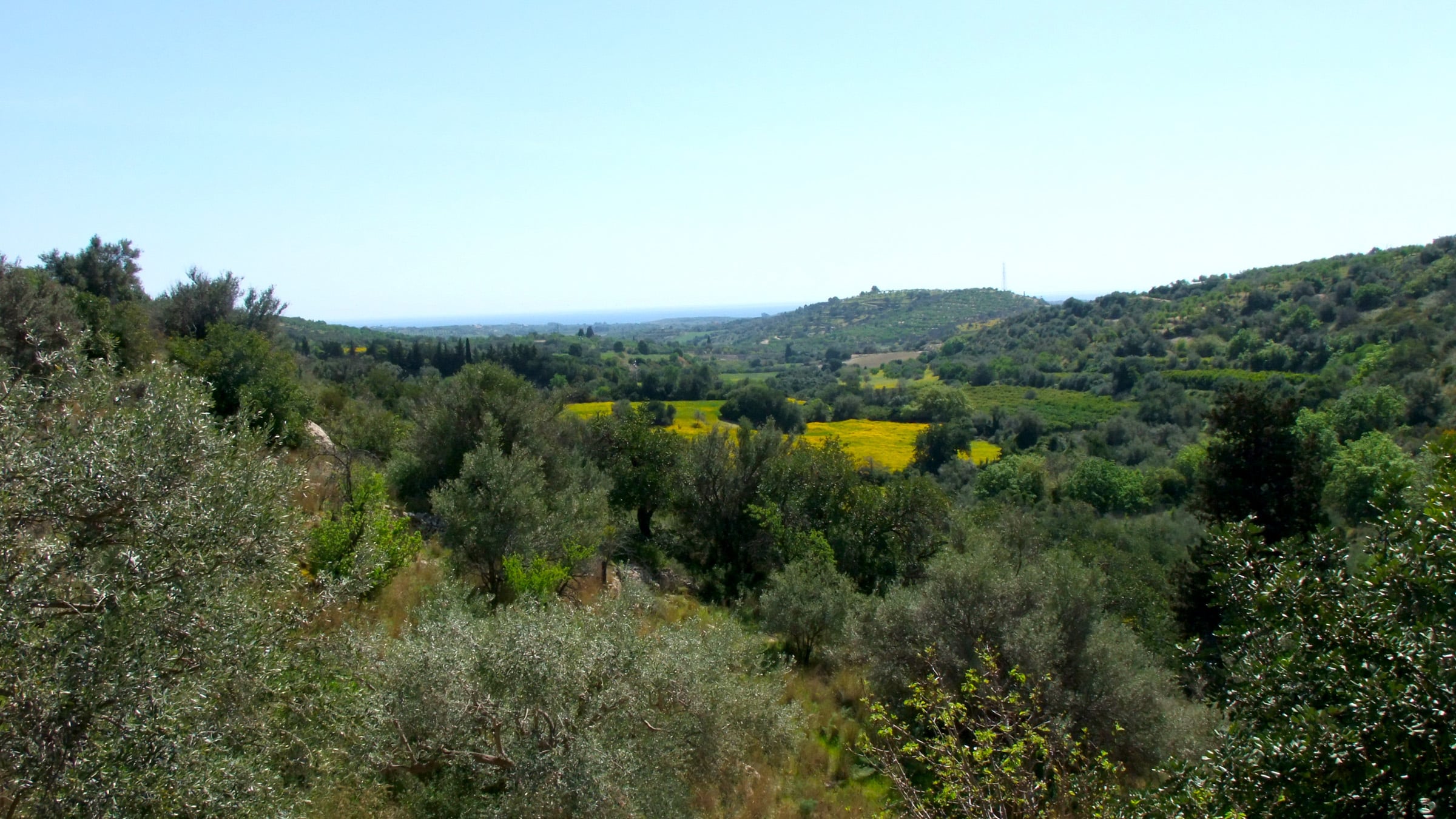 La Melagrana