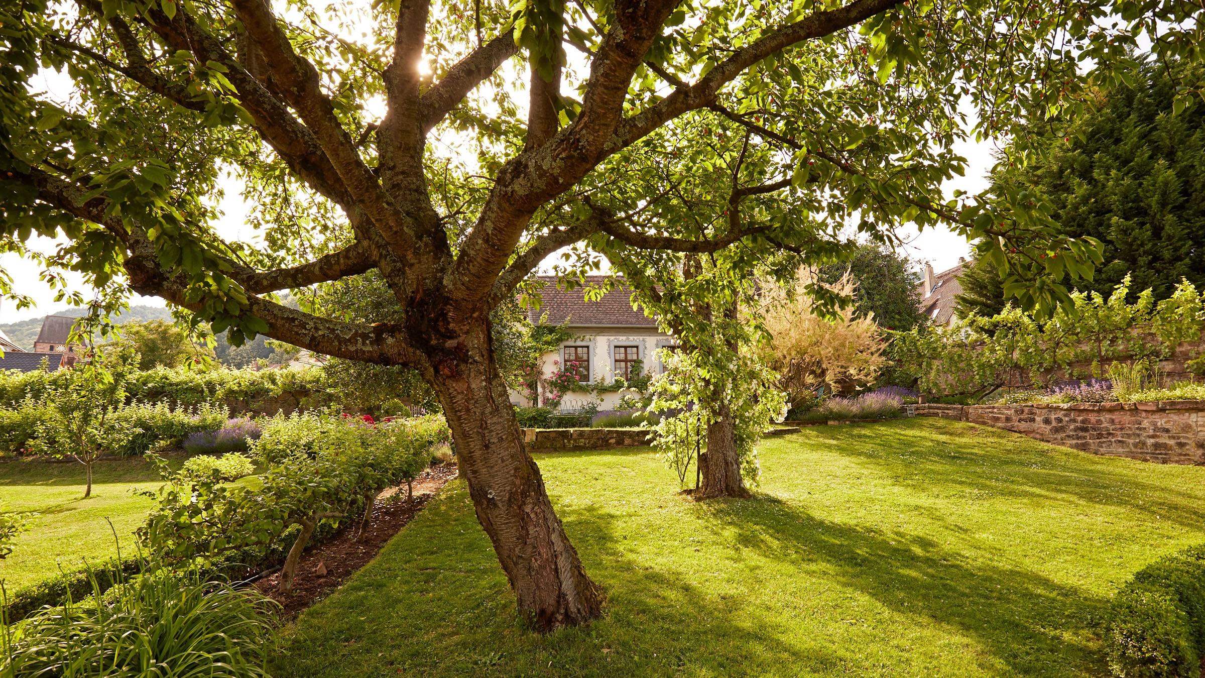 Barthélemy Manor House