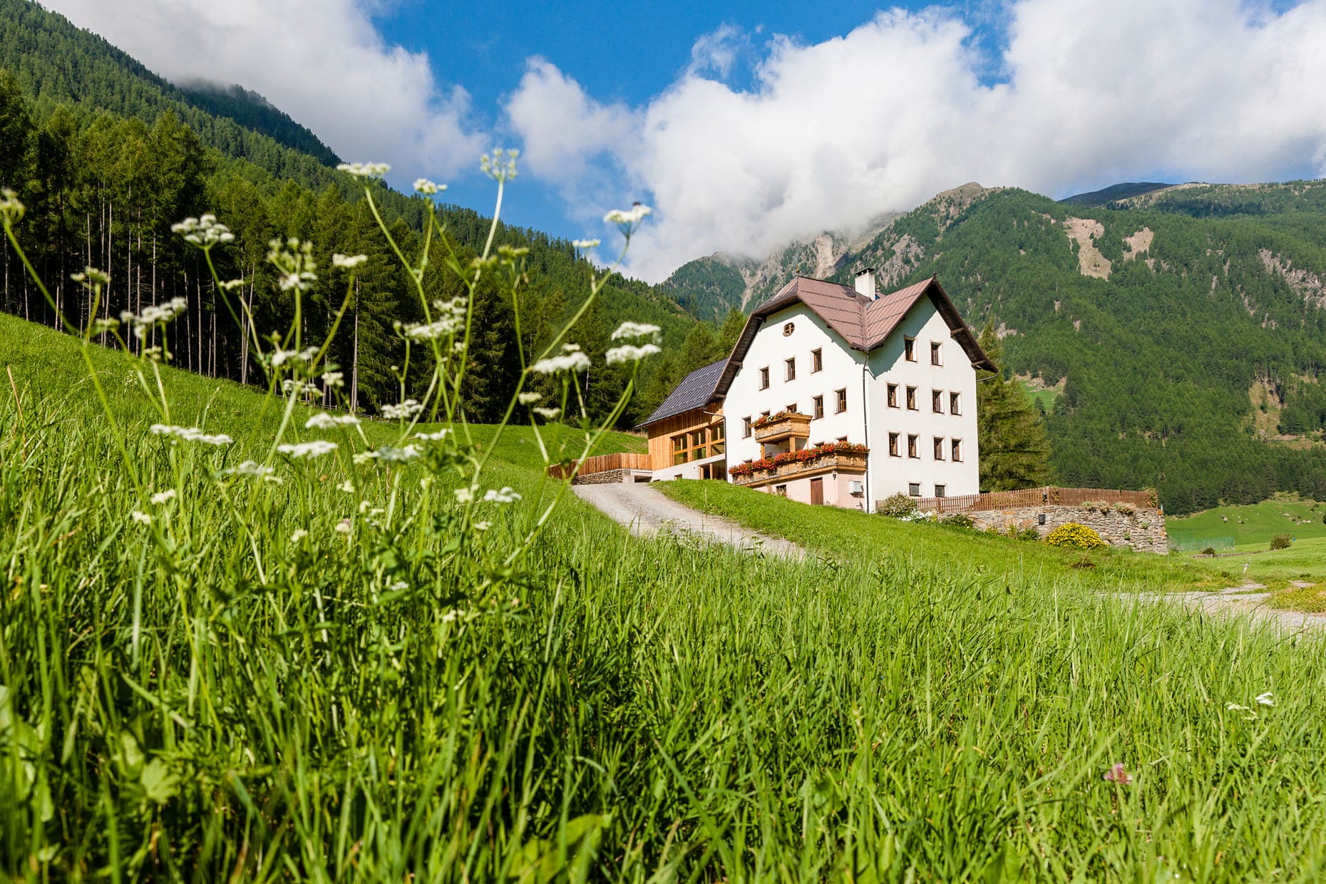 Alpine Lodge Josephus