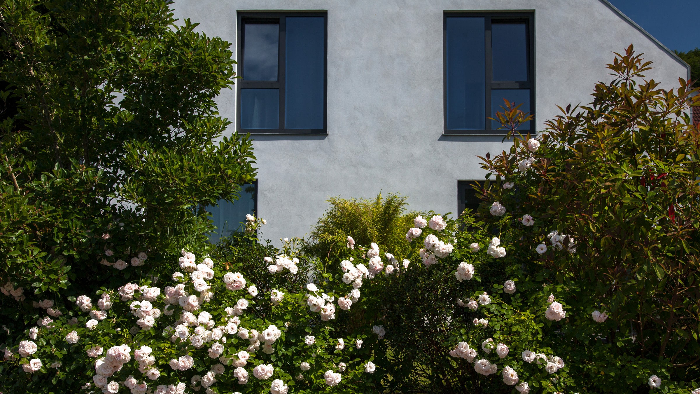 Ferienhaus Sonnensteg