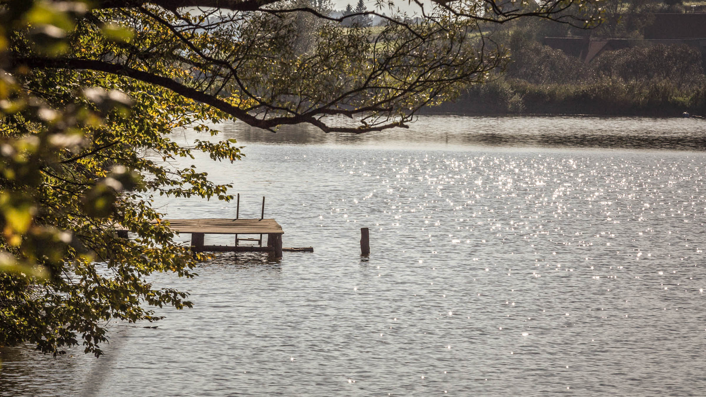 Altes Gewächshaus am Spiegelsee