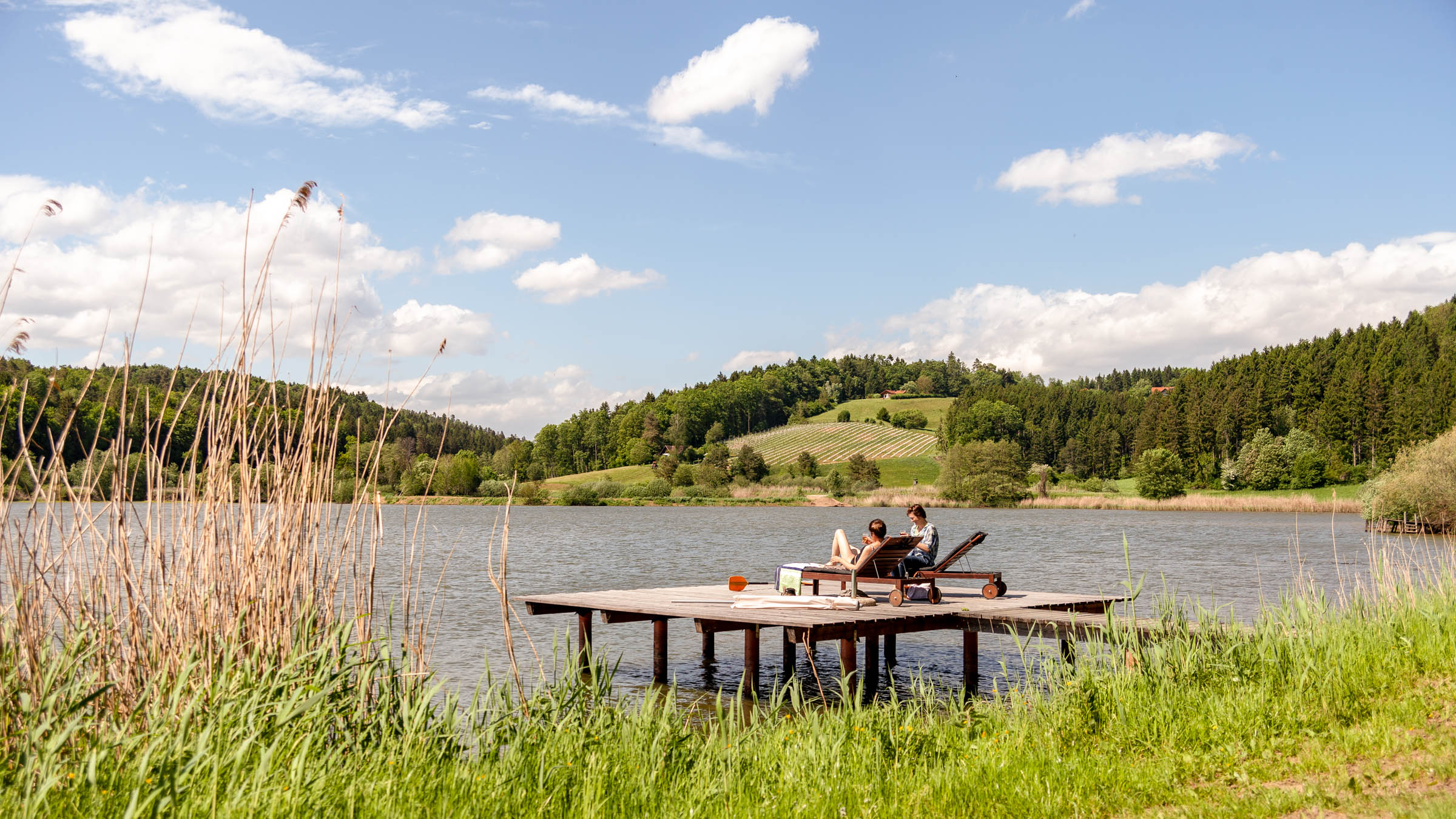 Altes Gewächshaus am Spiegelsee