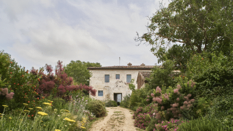 Casale di Cellole