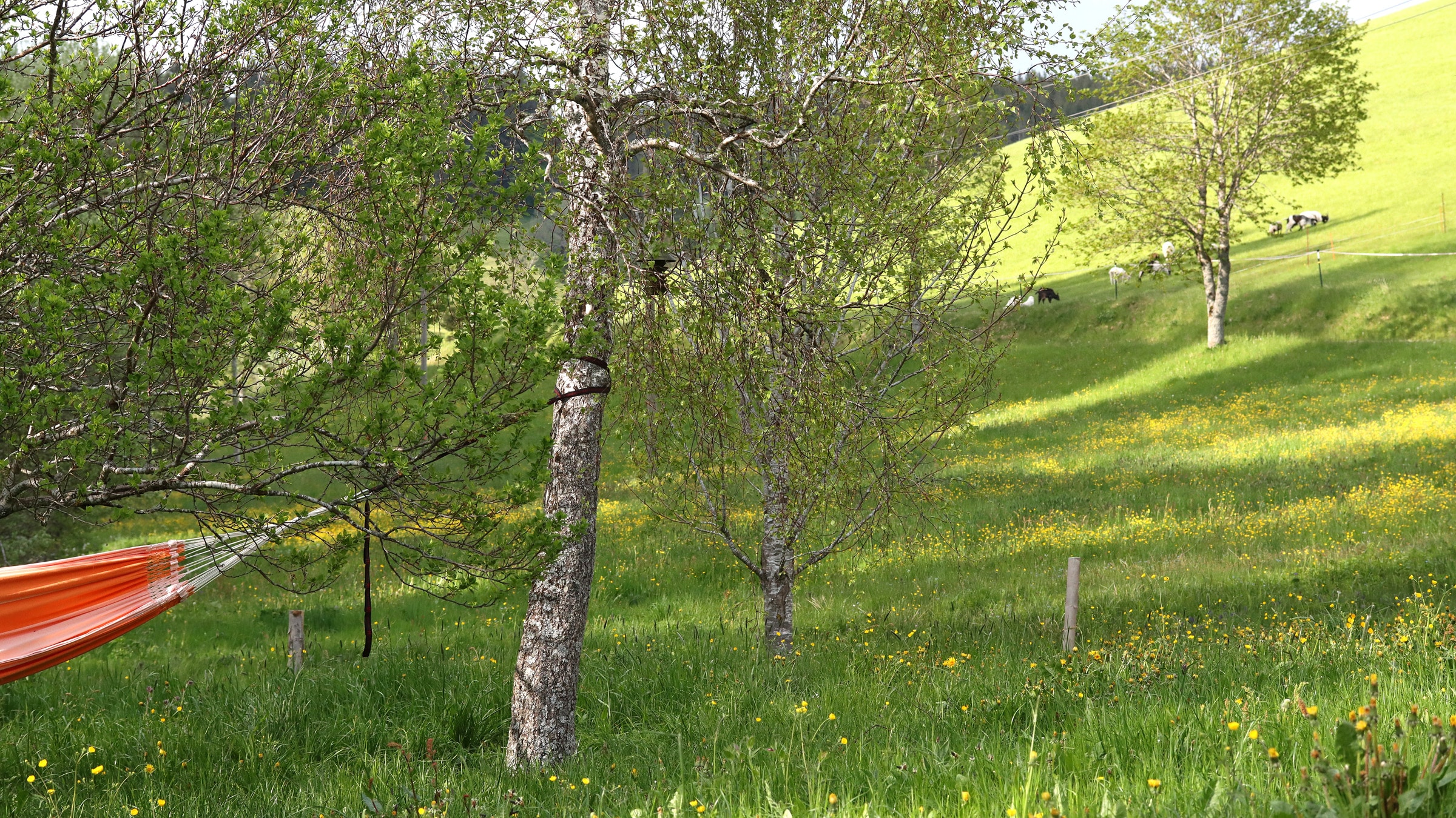 Am früheren Seilerhansenhof