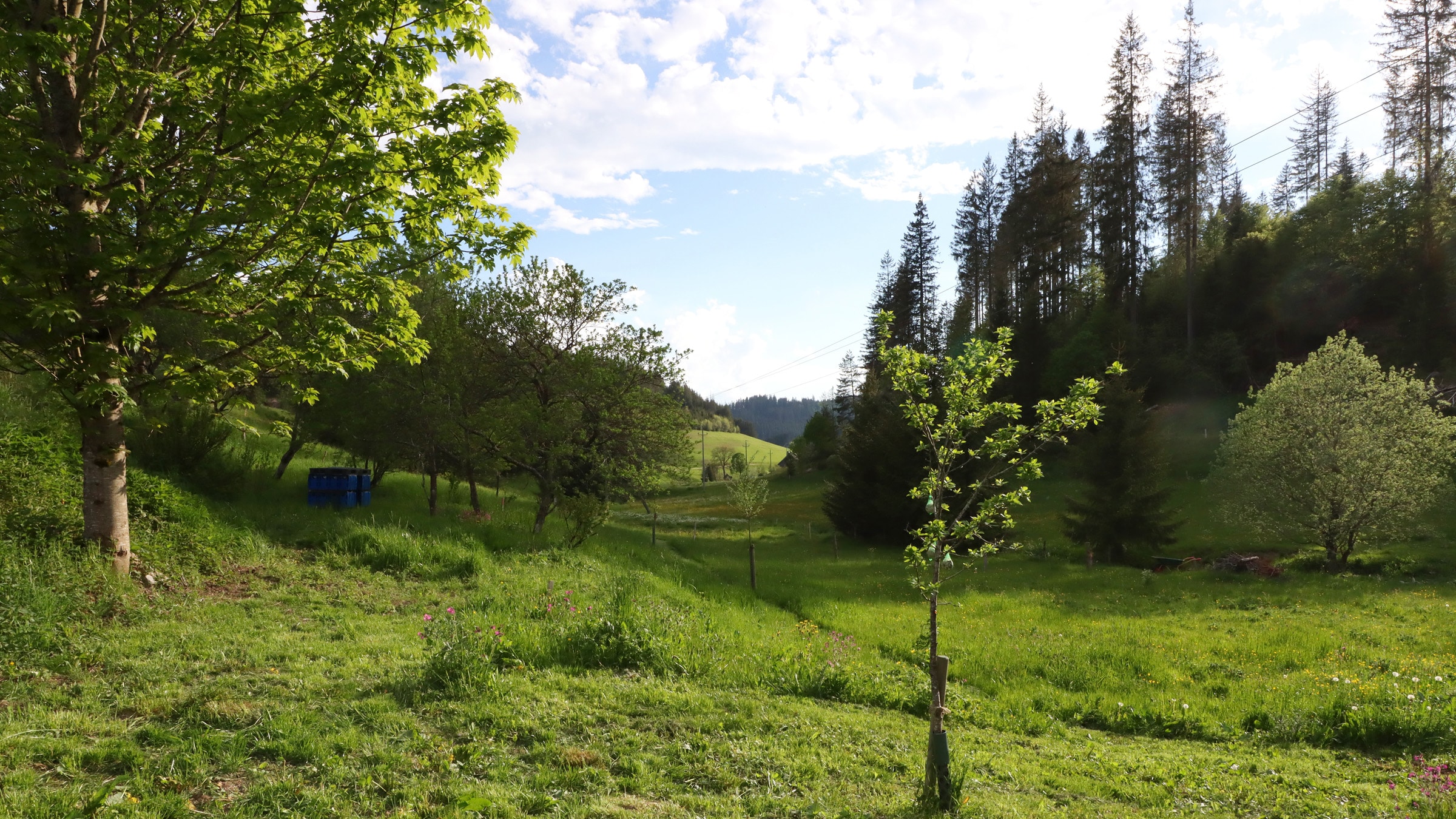 Am früheren Seilerhansenhof