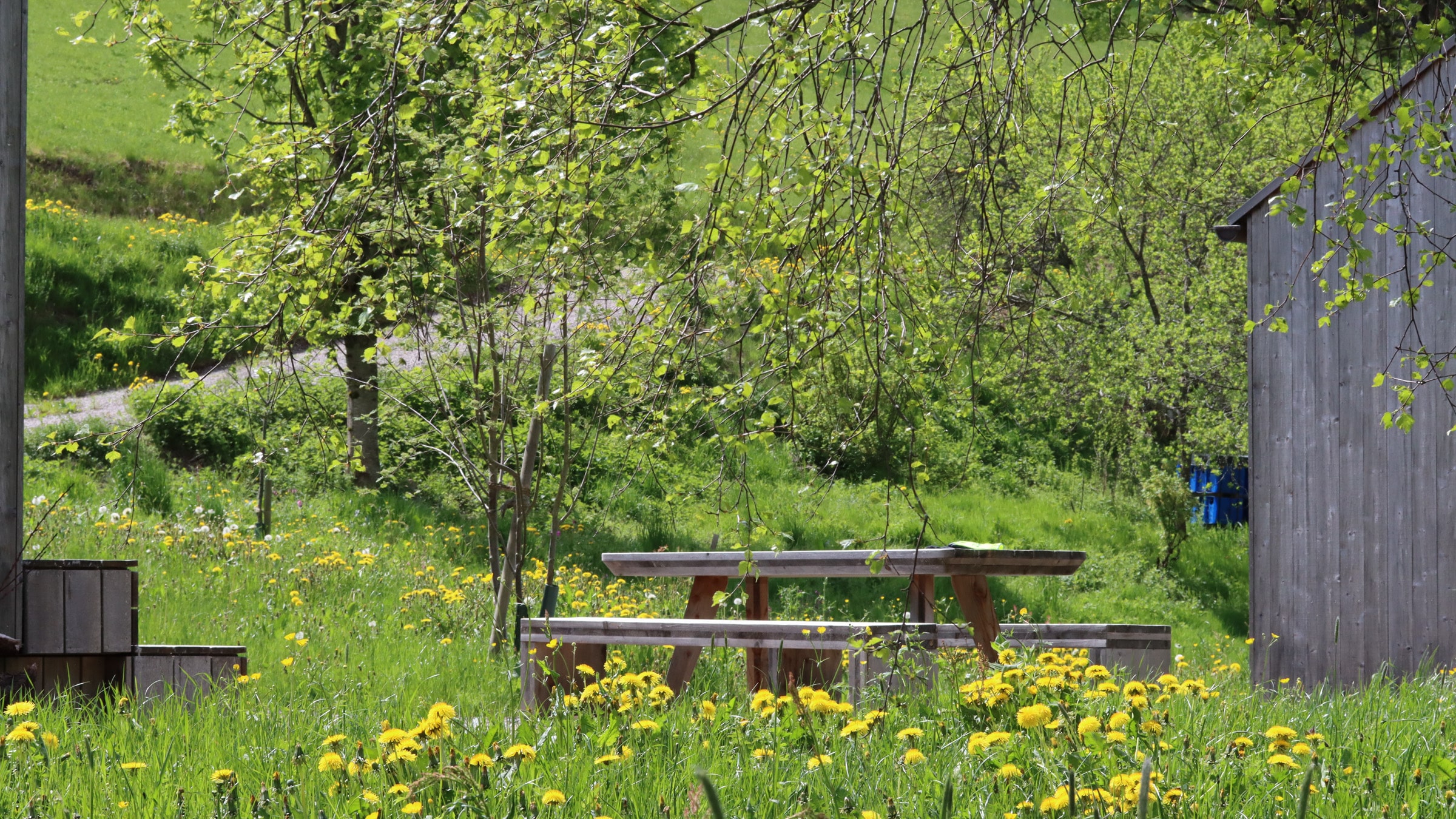 Am früheren Seilerhansenhof