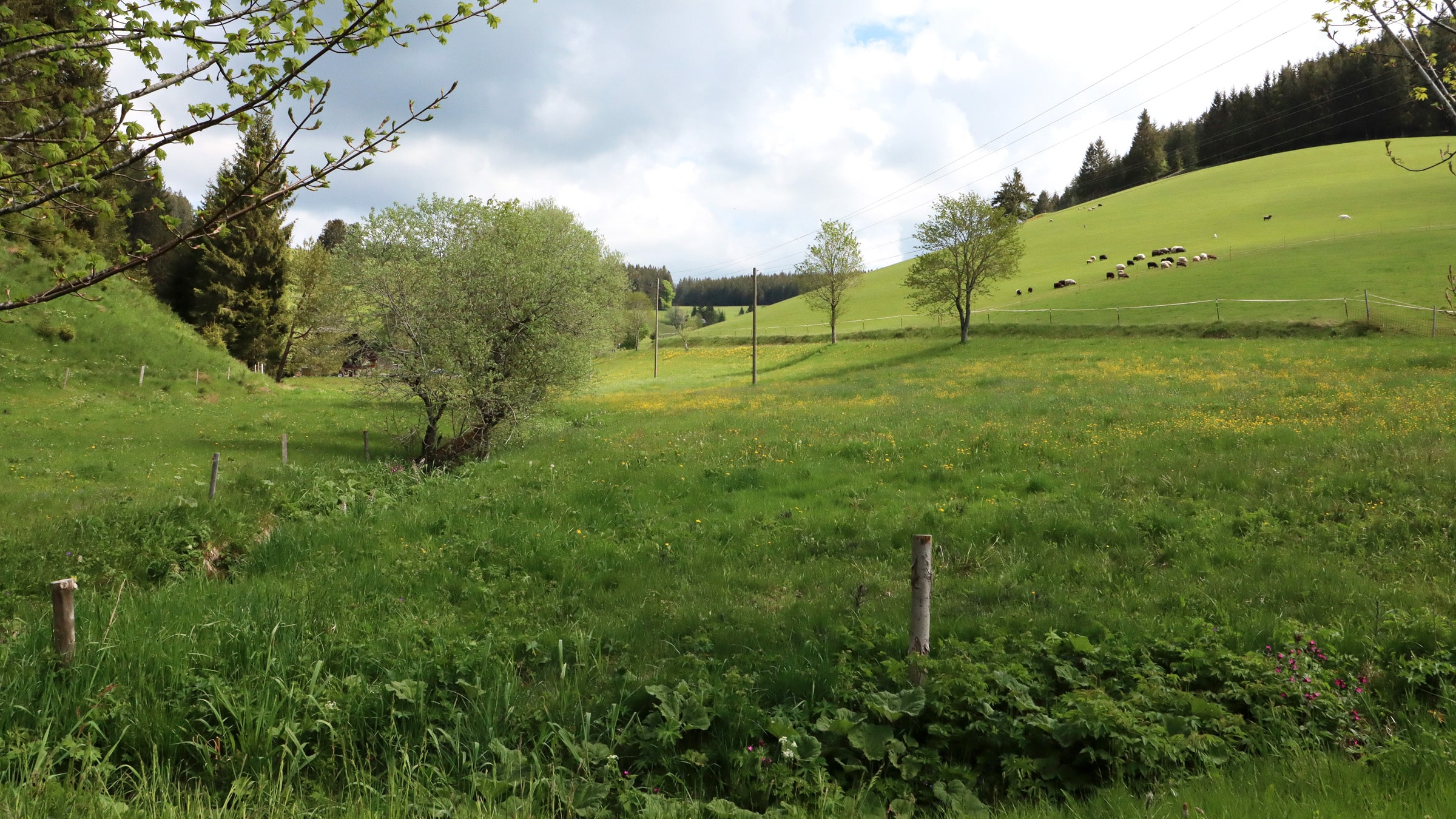 Am früheren Seilerhansenhof