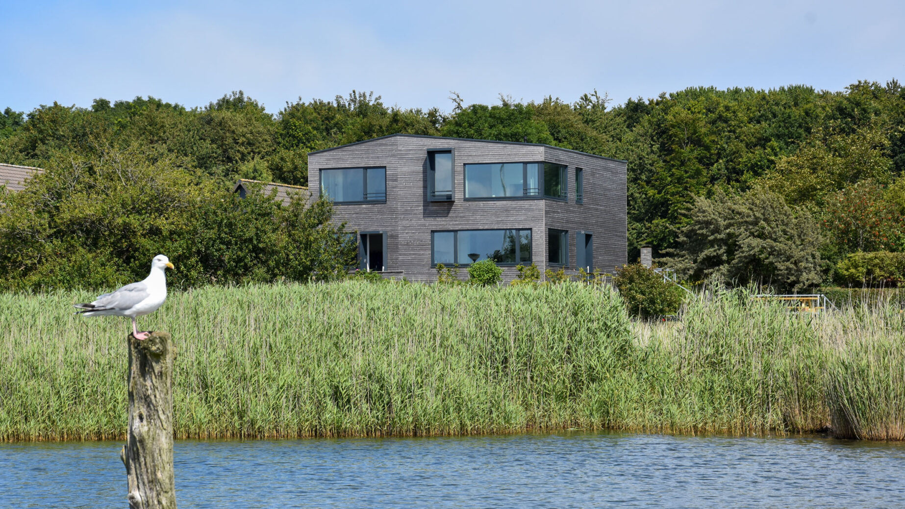 Fjordhaus an der Schlei