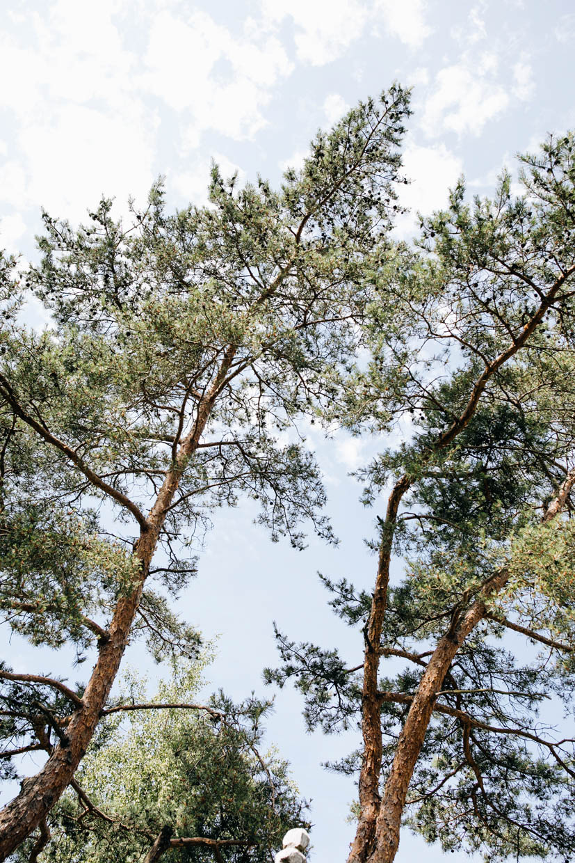 Ferienhaus Siegfried