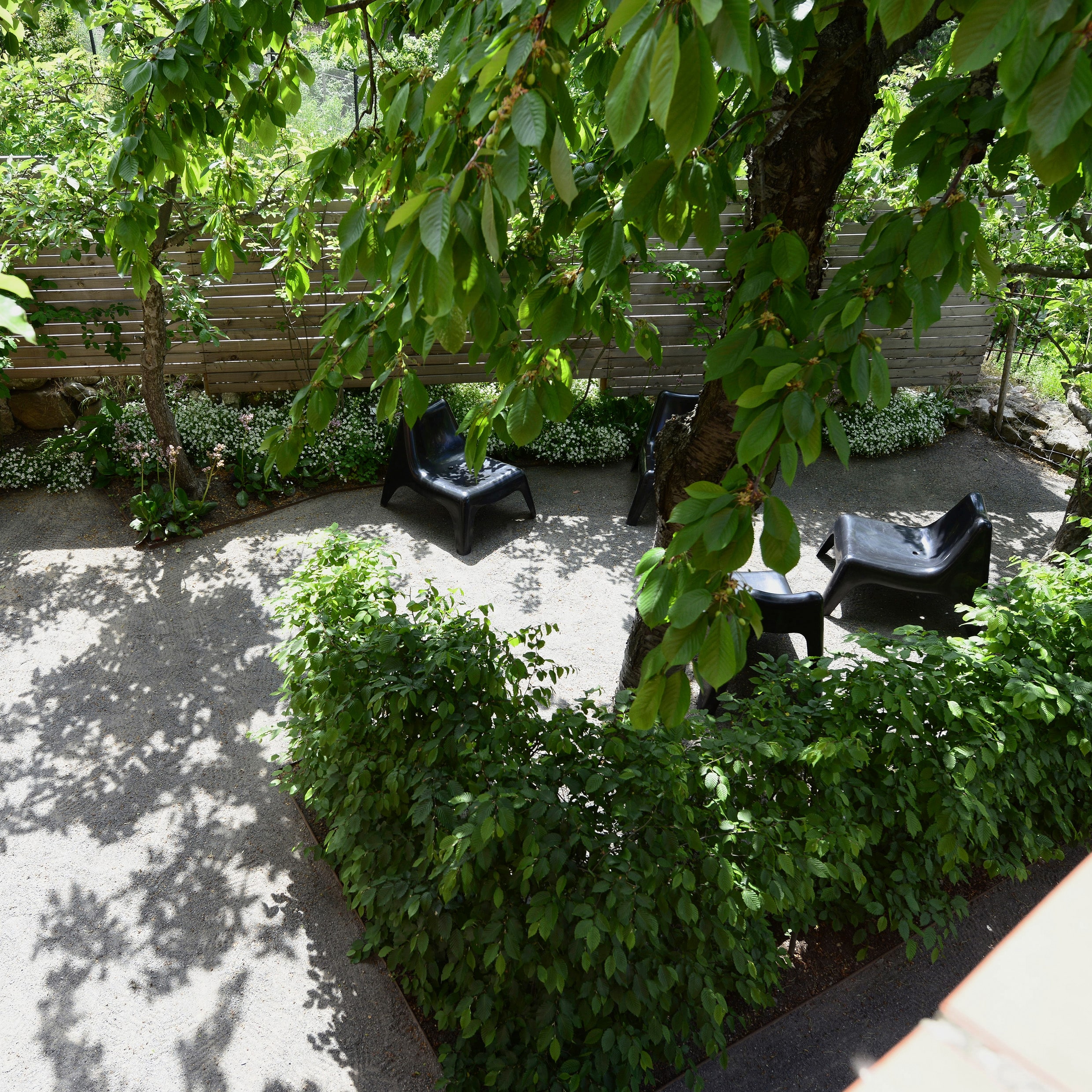 schlicht & ergreifend: das Birki