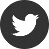 Twitter-Icon