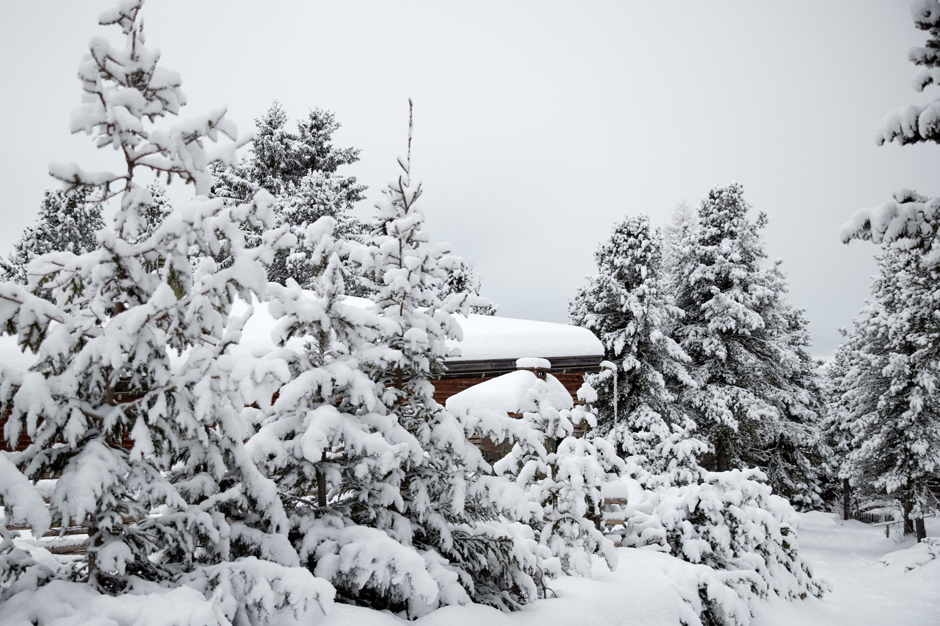 Odles Lodge