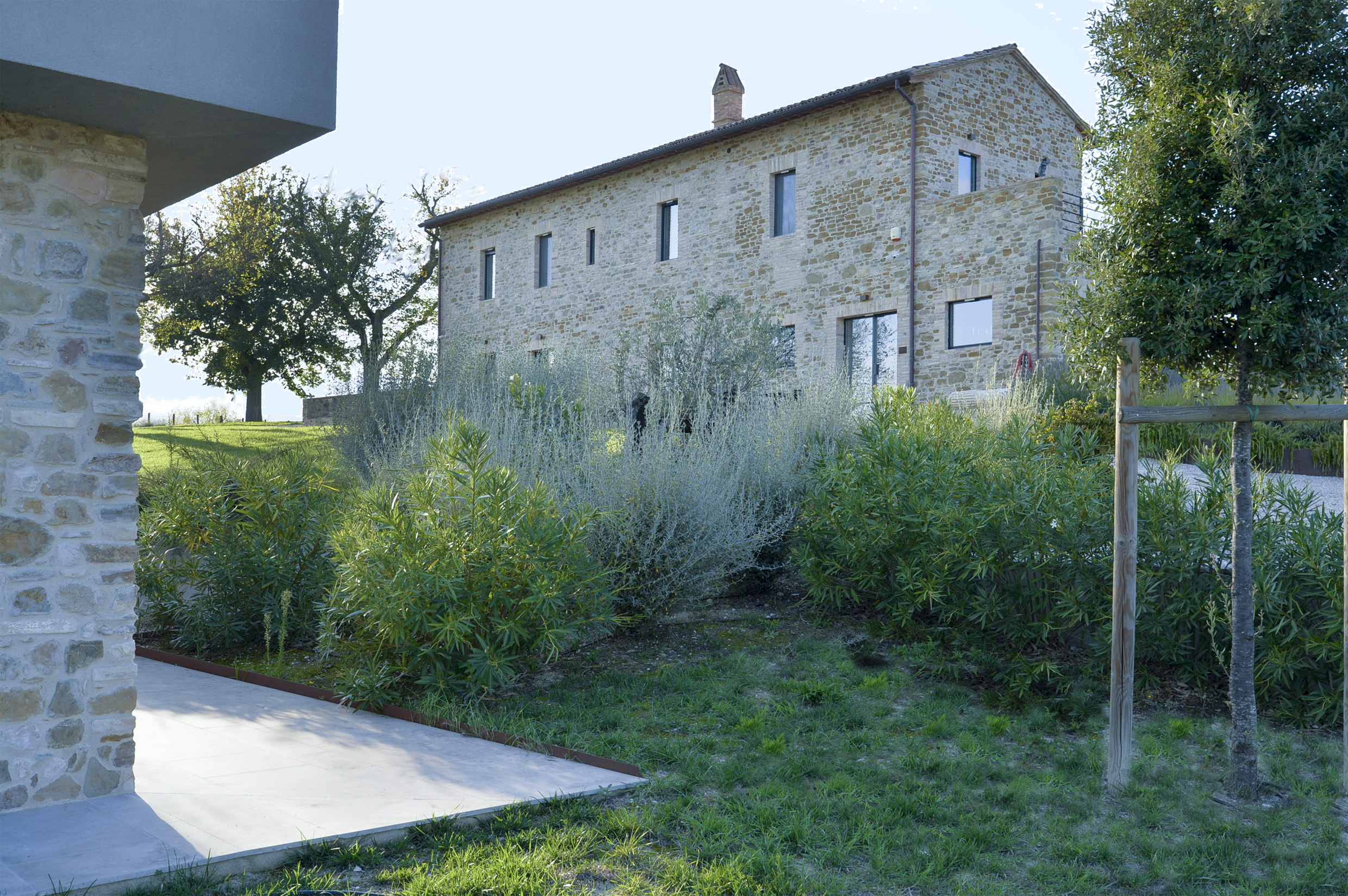 Francocci 7