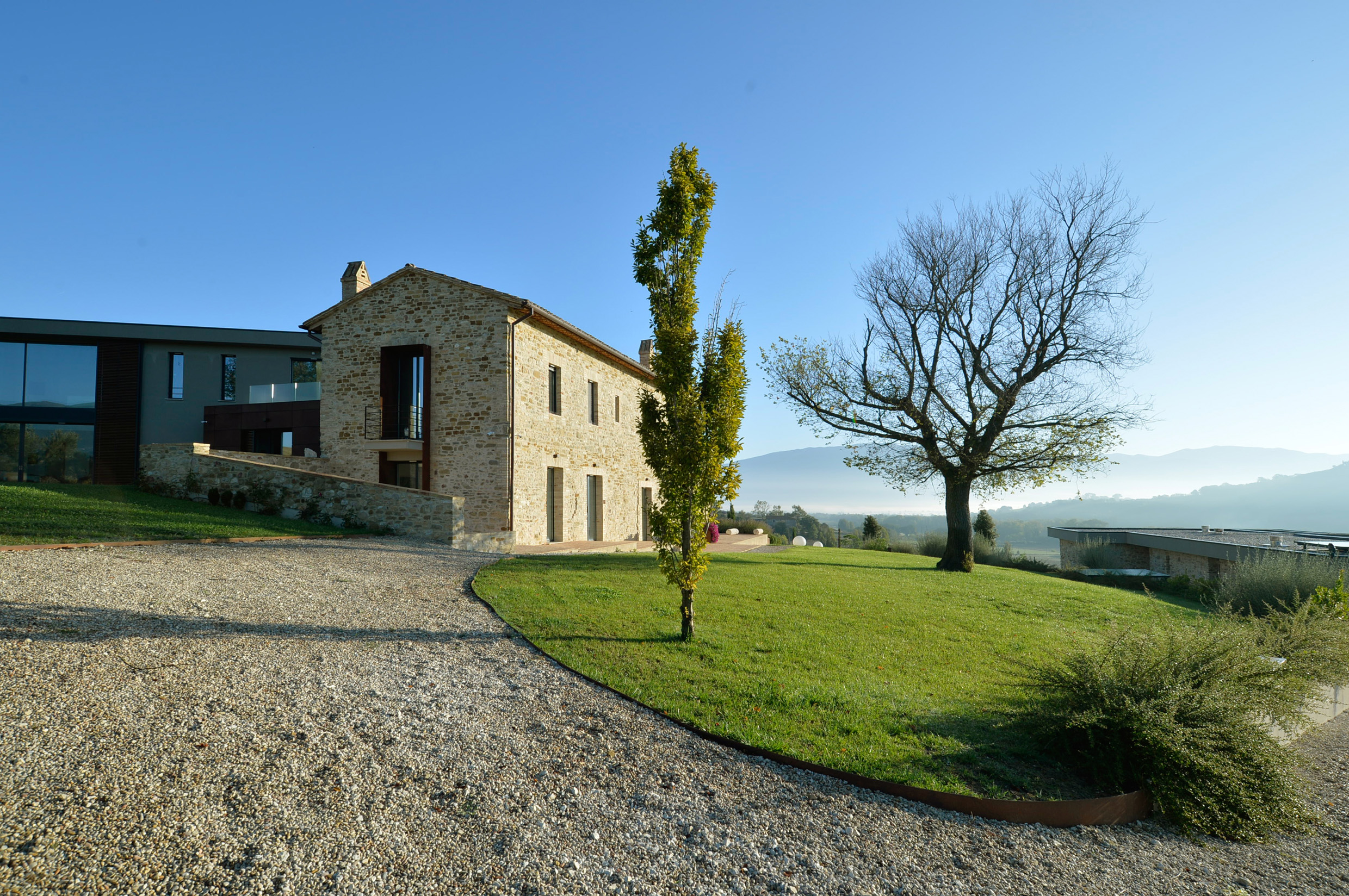Francocci 7