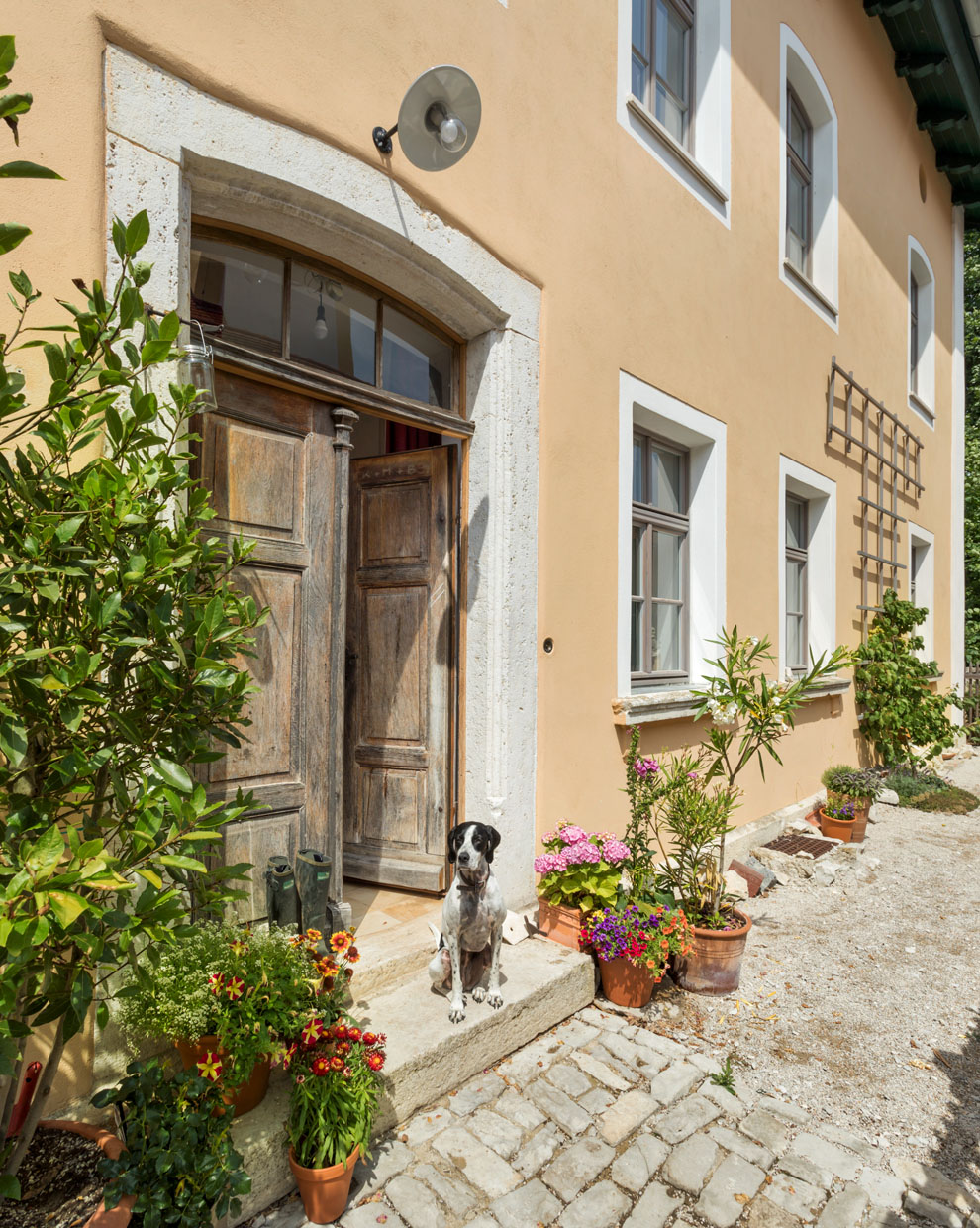 Petersbergapartments