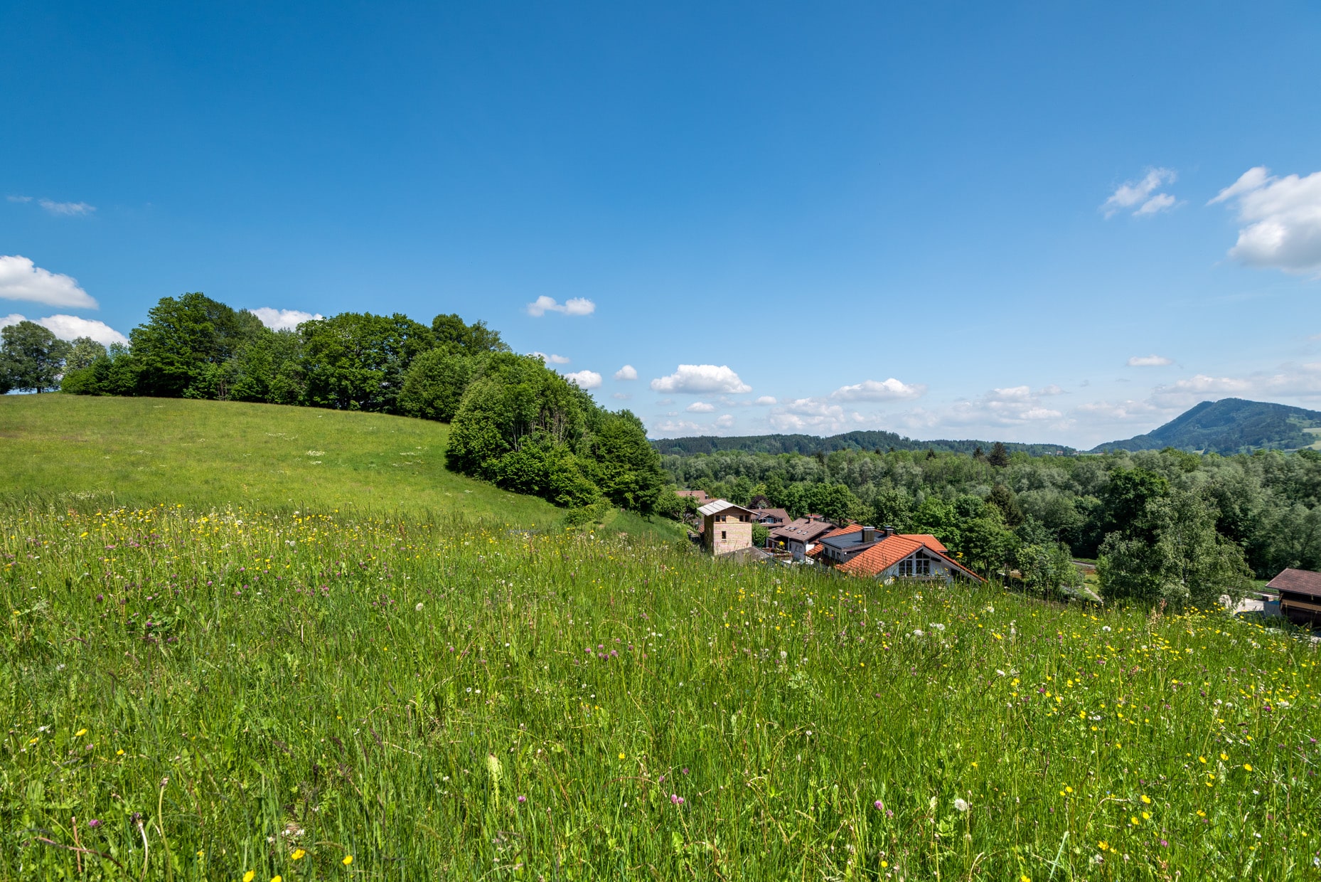 Architektenhütte Allgäu