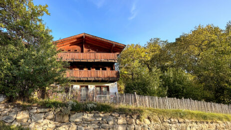 Faazihaus