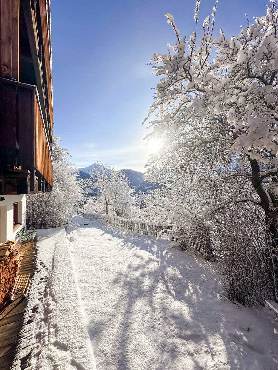 Faazihaus