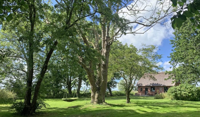 Altes Schulhaus