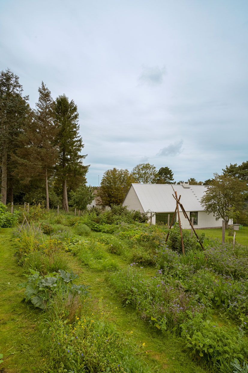Barn House and Farm House + Shelter