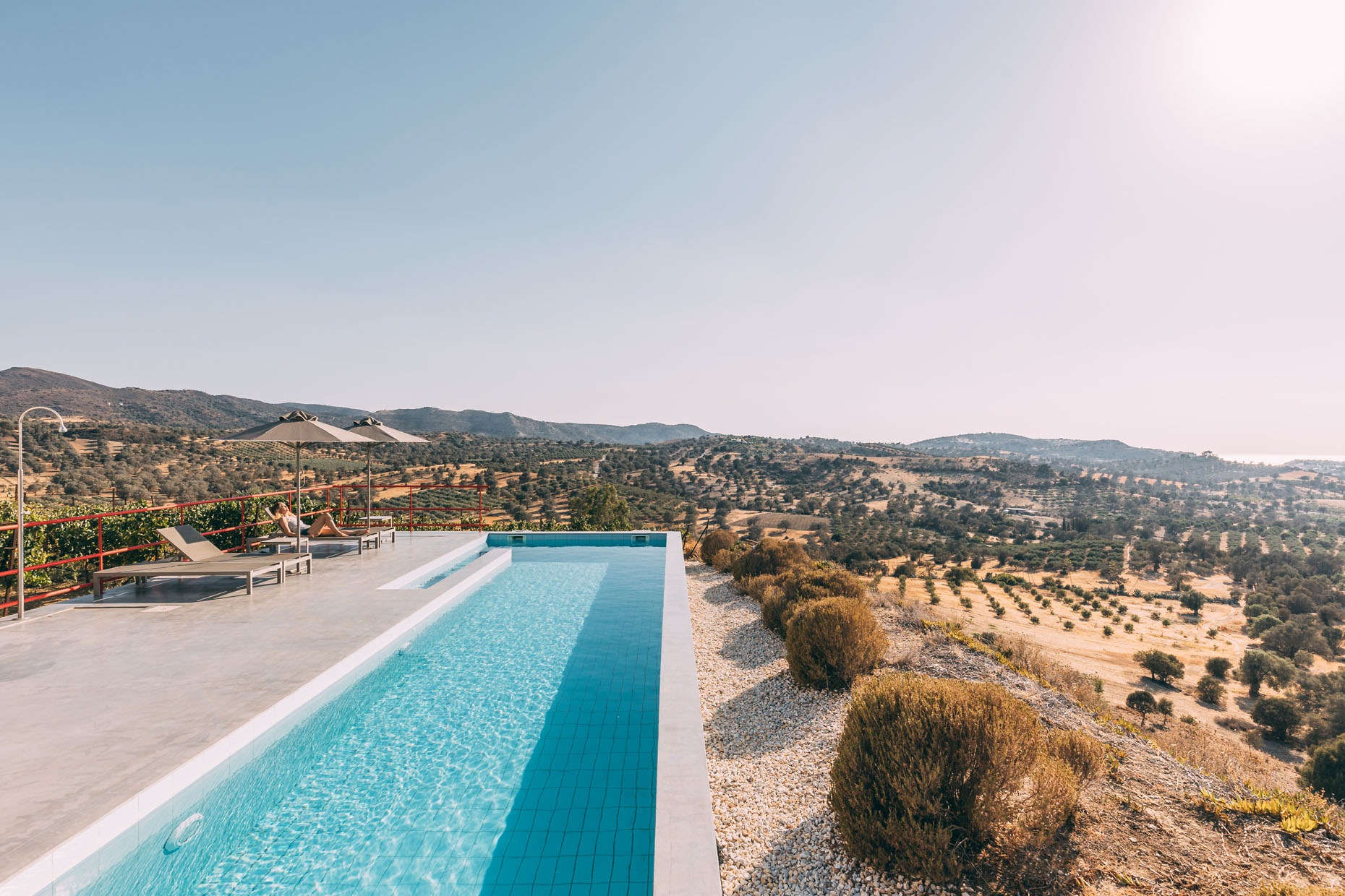 The Boomerang House