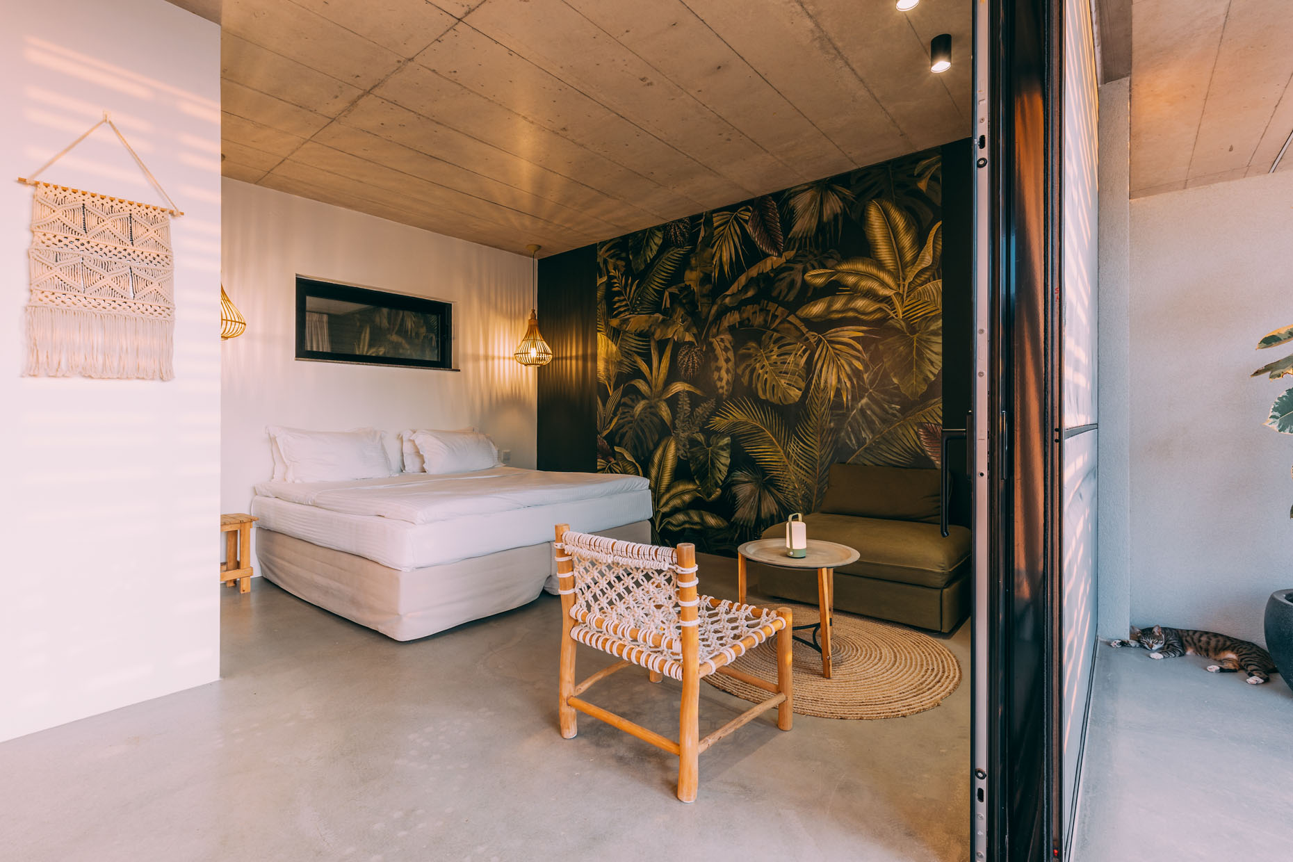 The Boomerang House