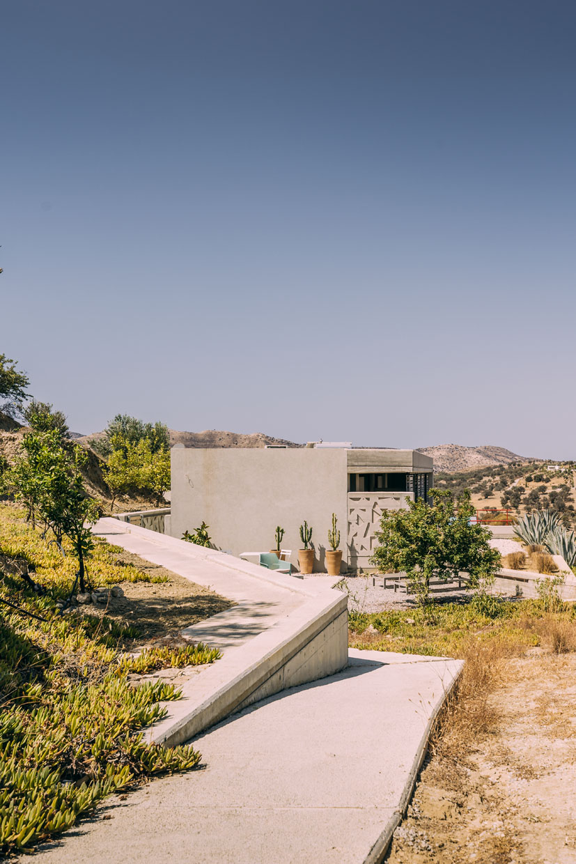 The Boomerang House
