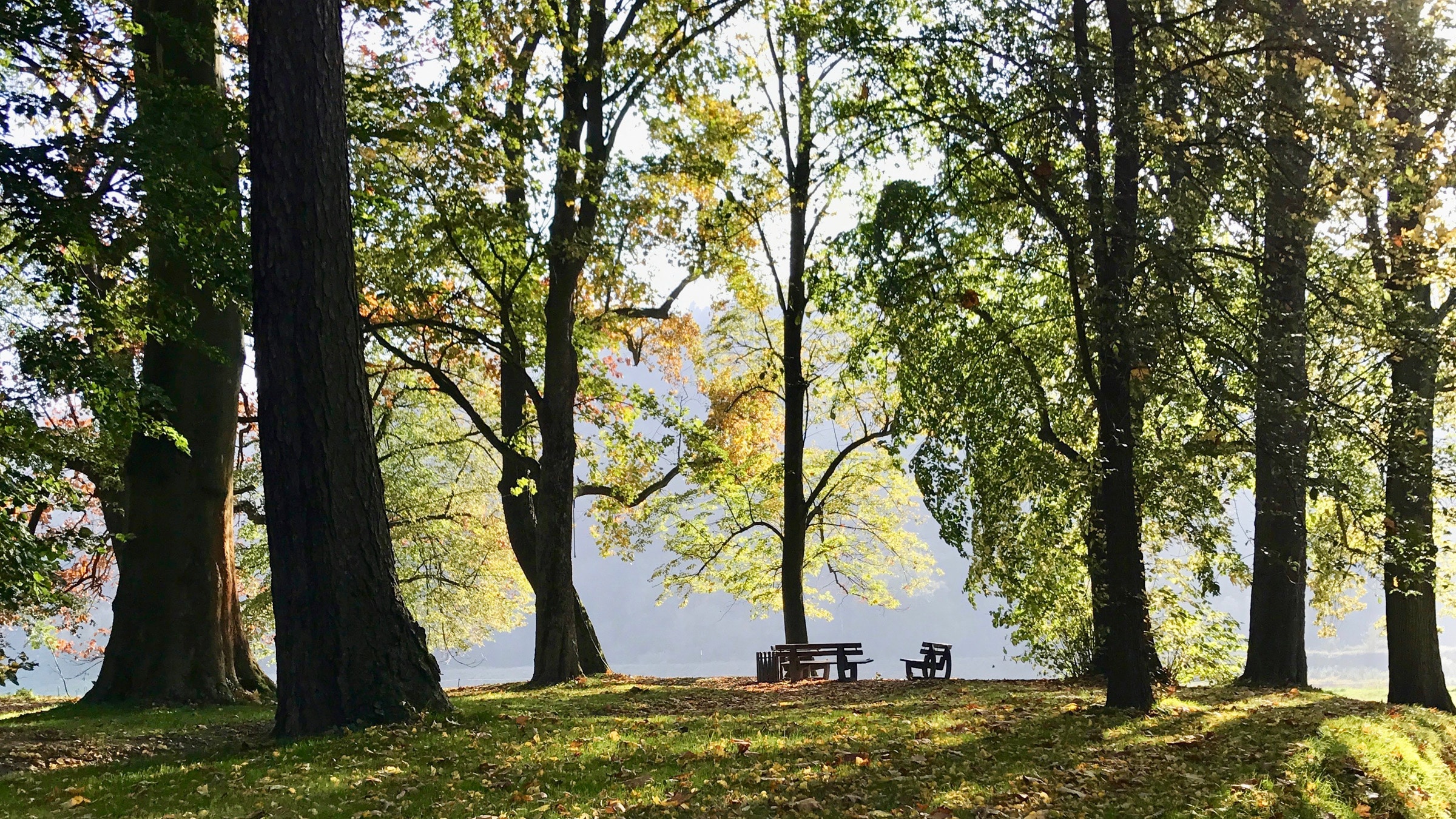 schloss prossen