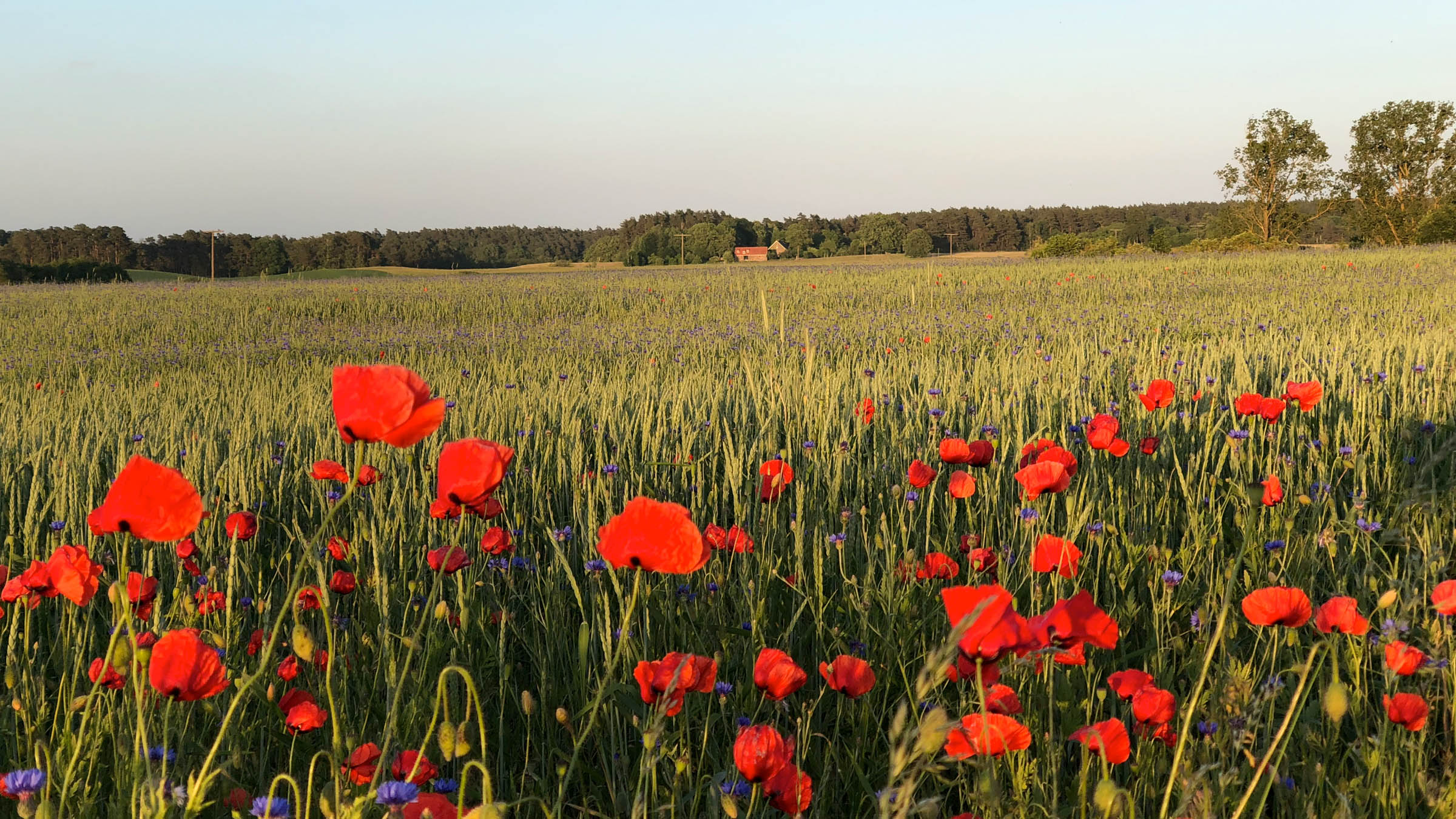Das Studio Uckermark