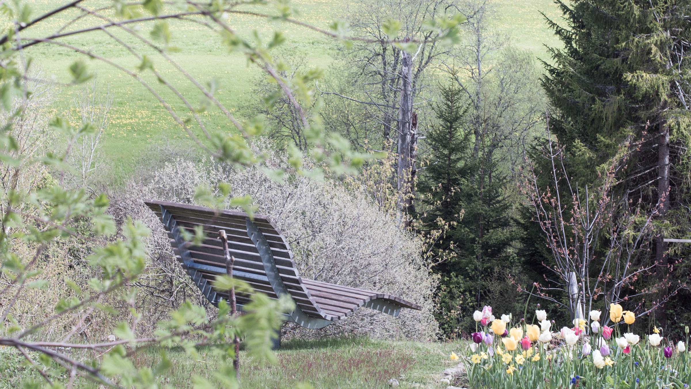 Collage – Ferien