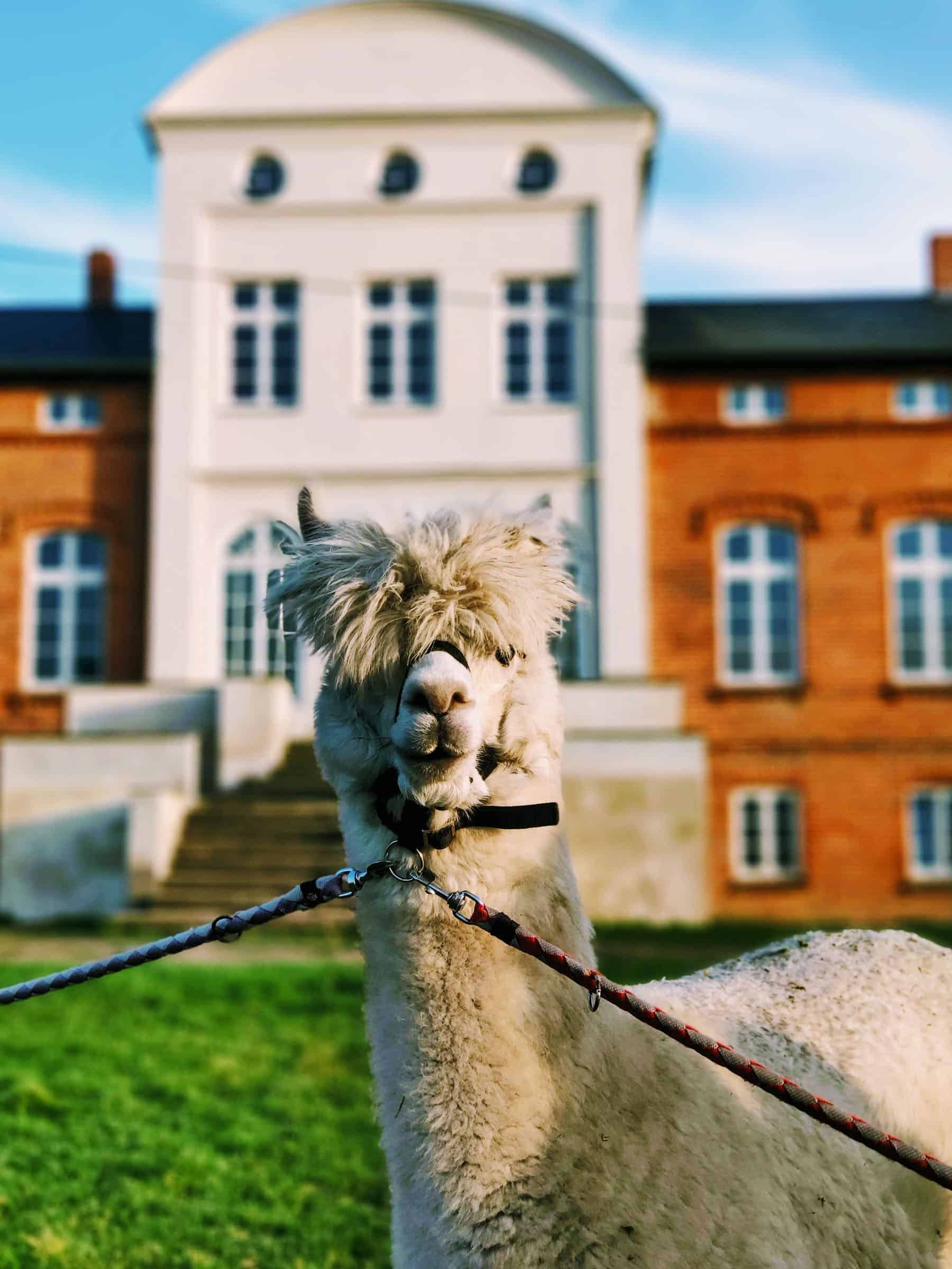 Gut Pohnstorf