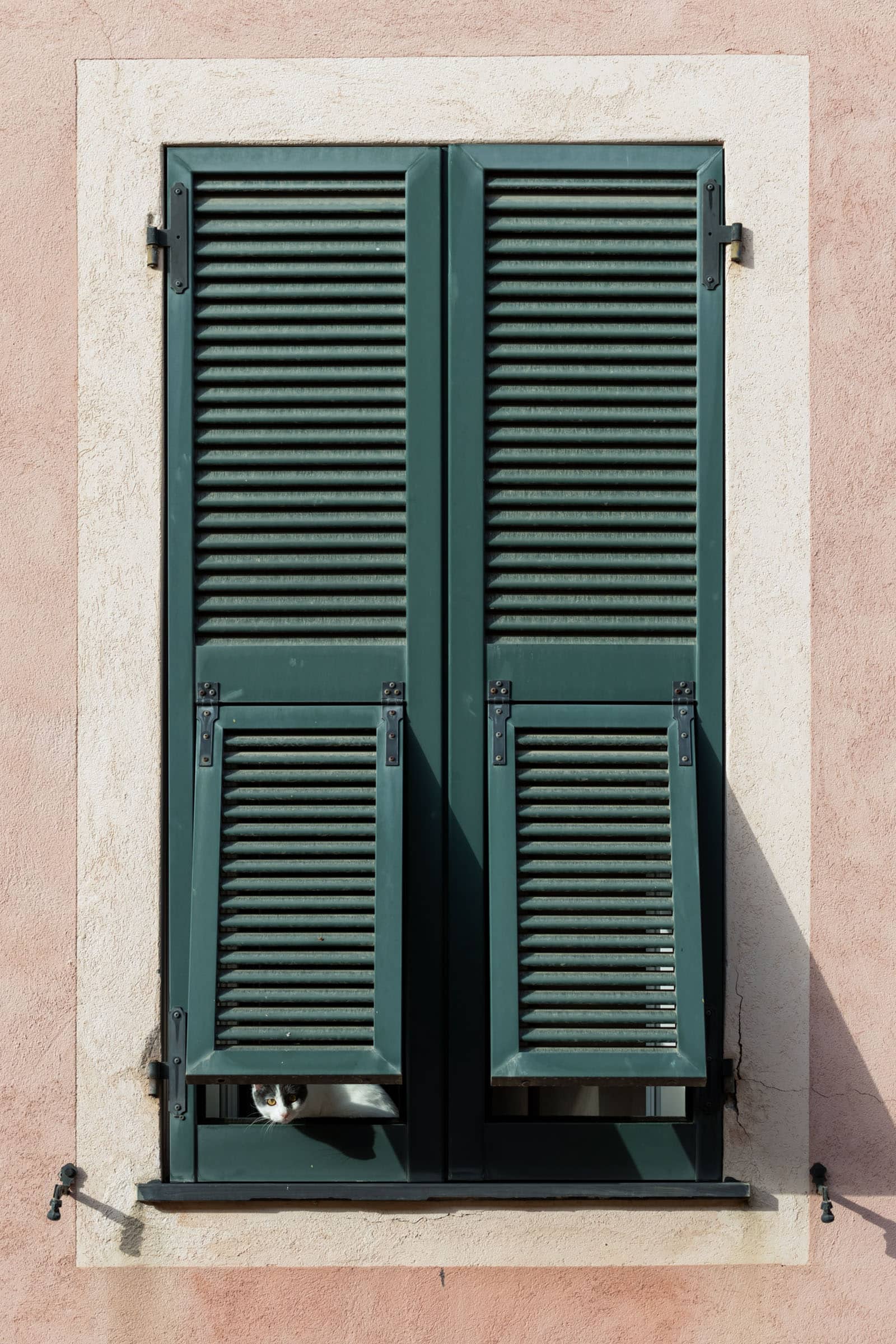 Palazzo Fabiny