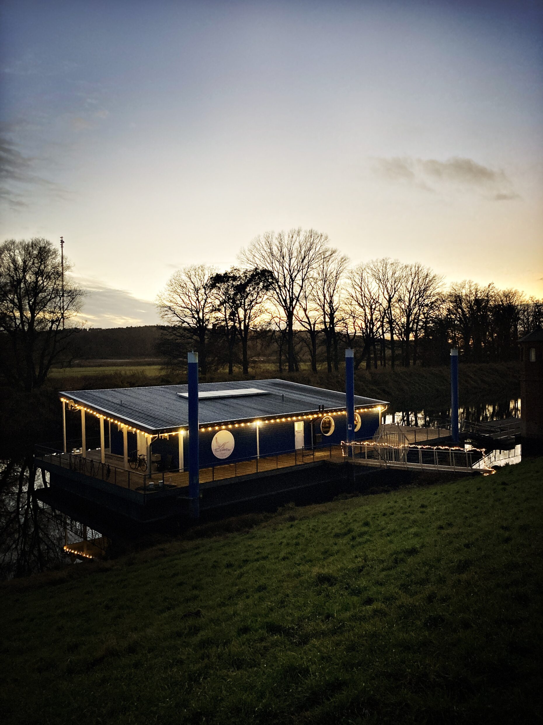 Eisvogel