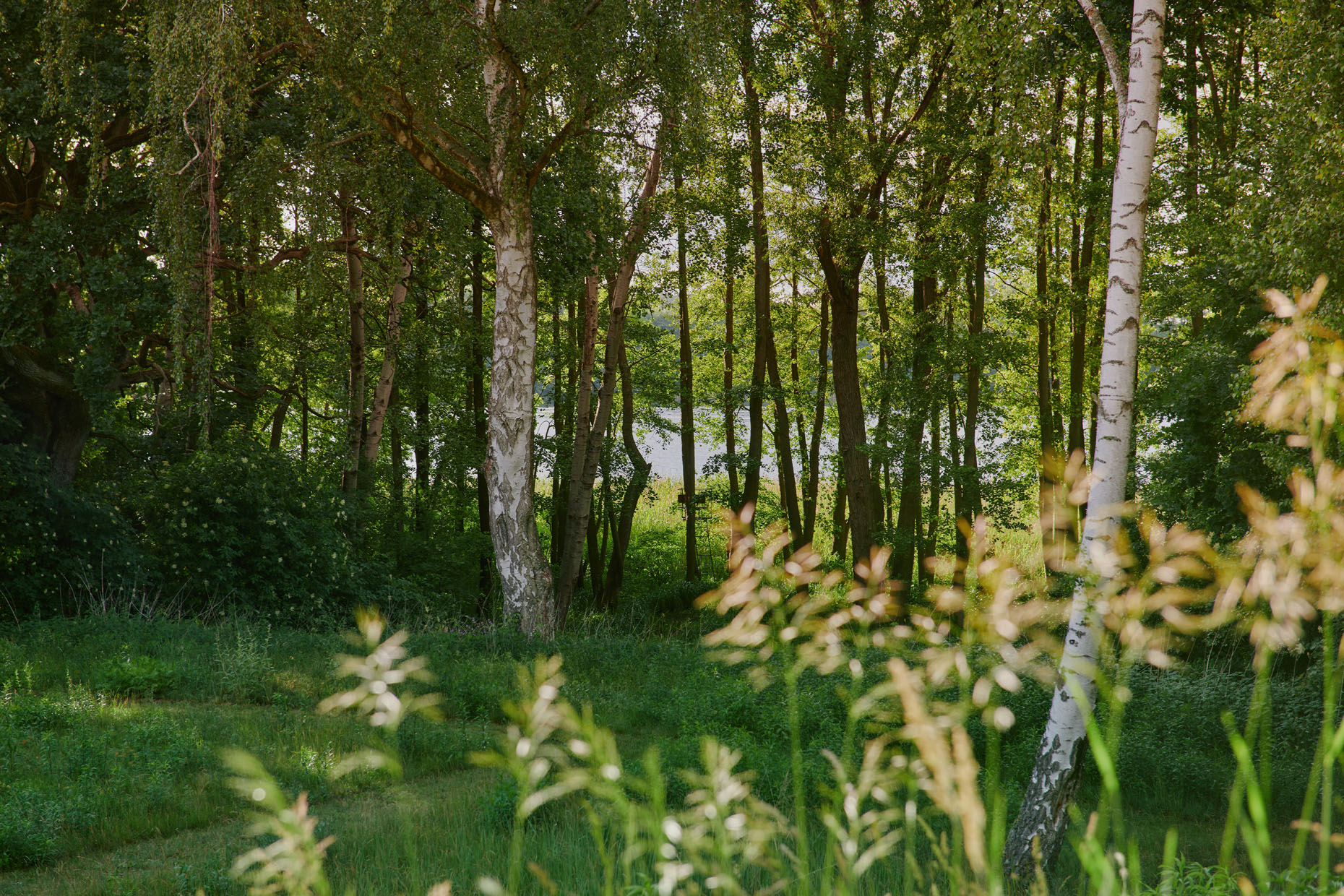 Urlaub an der Seenplatte