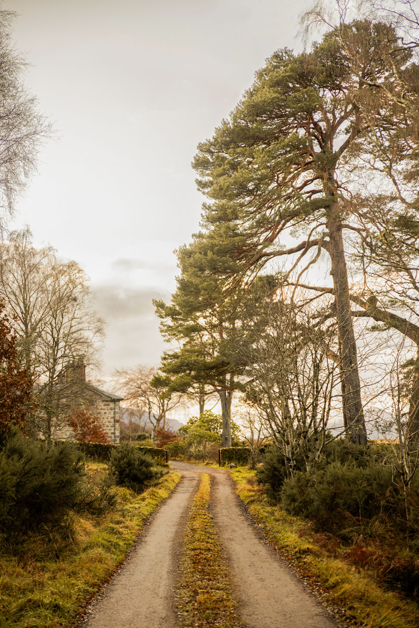 Tigh na Coille