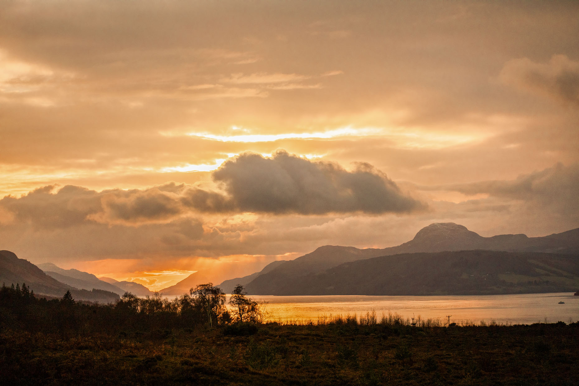 Tigh na Coille