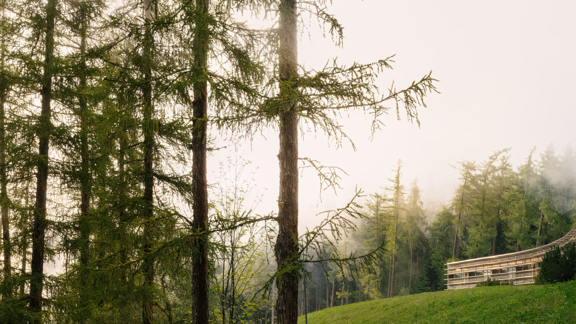 Sterne ohne Starallüren: Das vigilius mountain resort