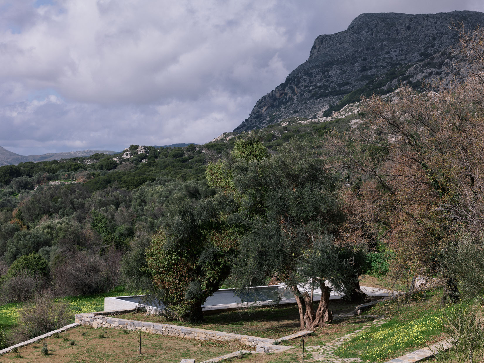 Meraki Studios