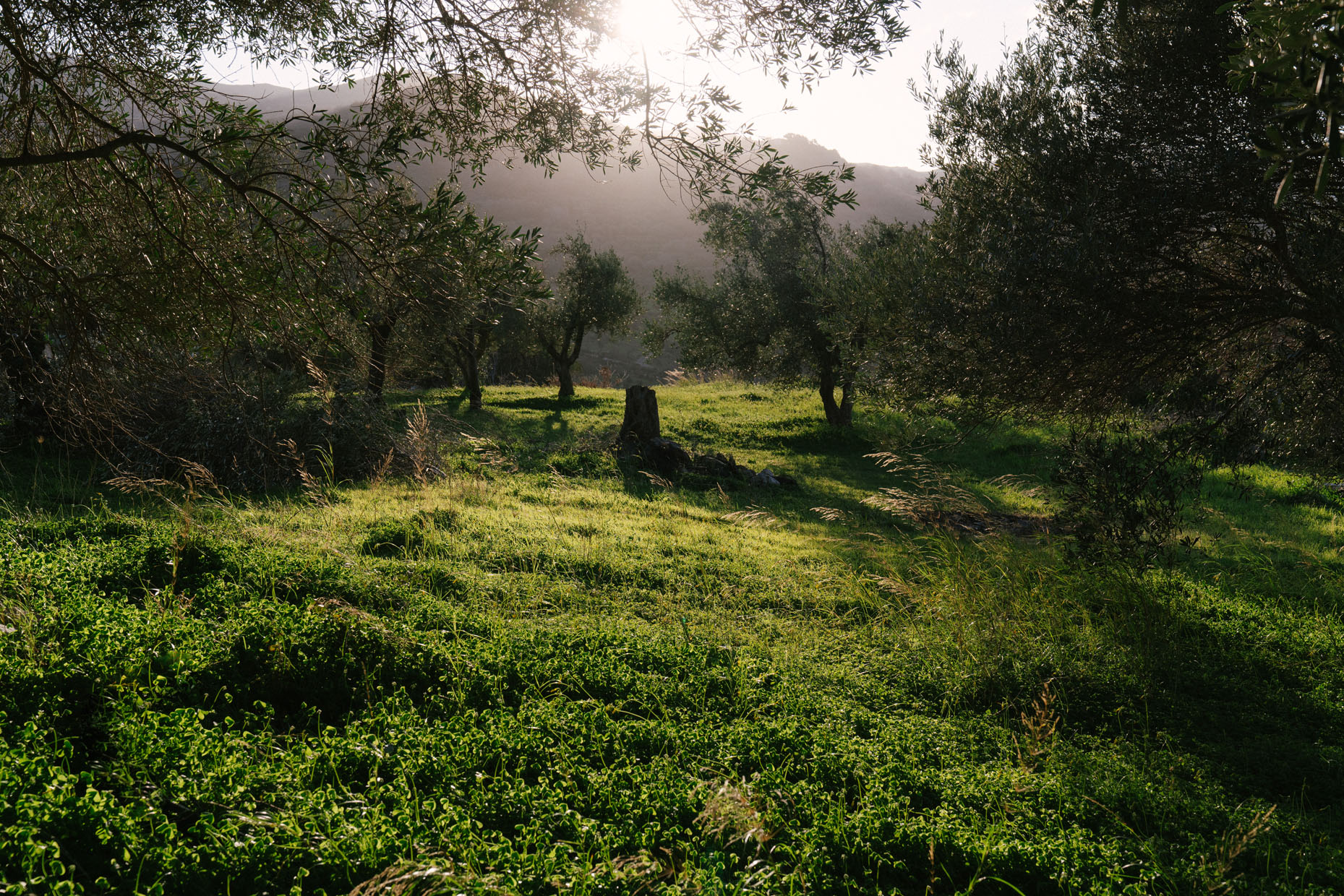 Meraki Studios