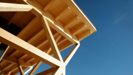 Room to Breathe – Architecture Beneath Exposed Roof Trusses
