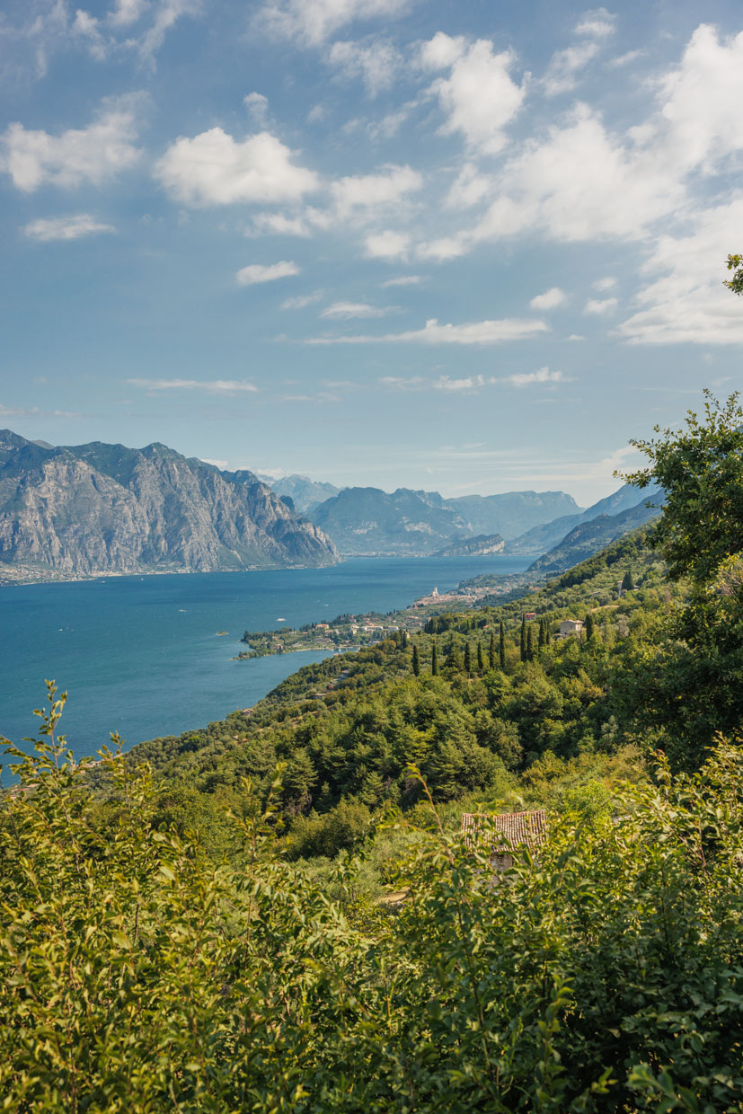 Ca’ dei Mongi