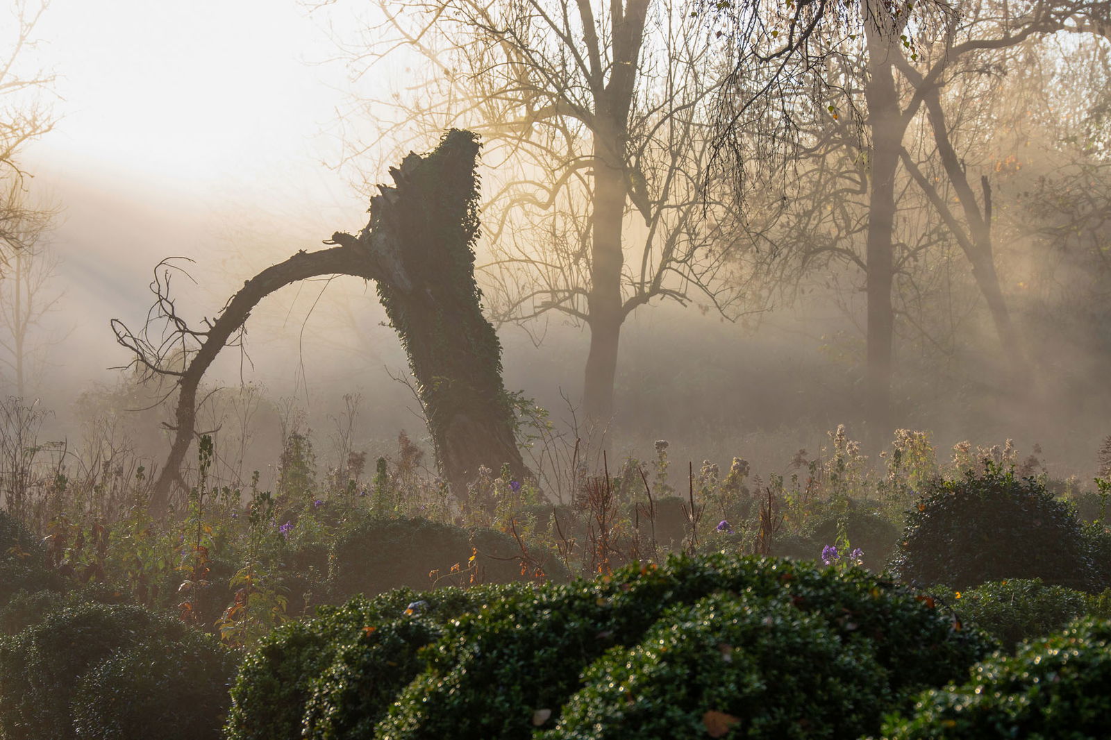 museum insel hombroich