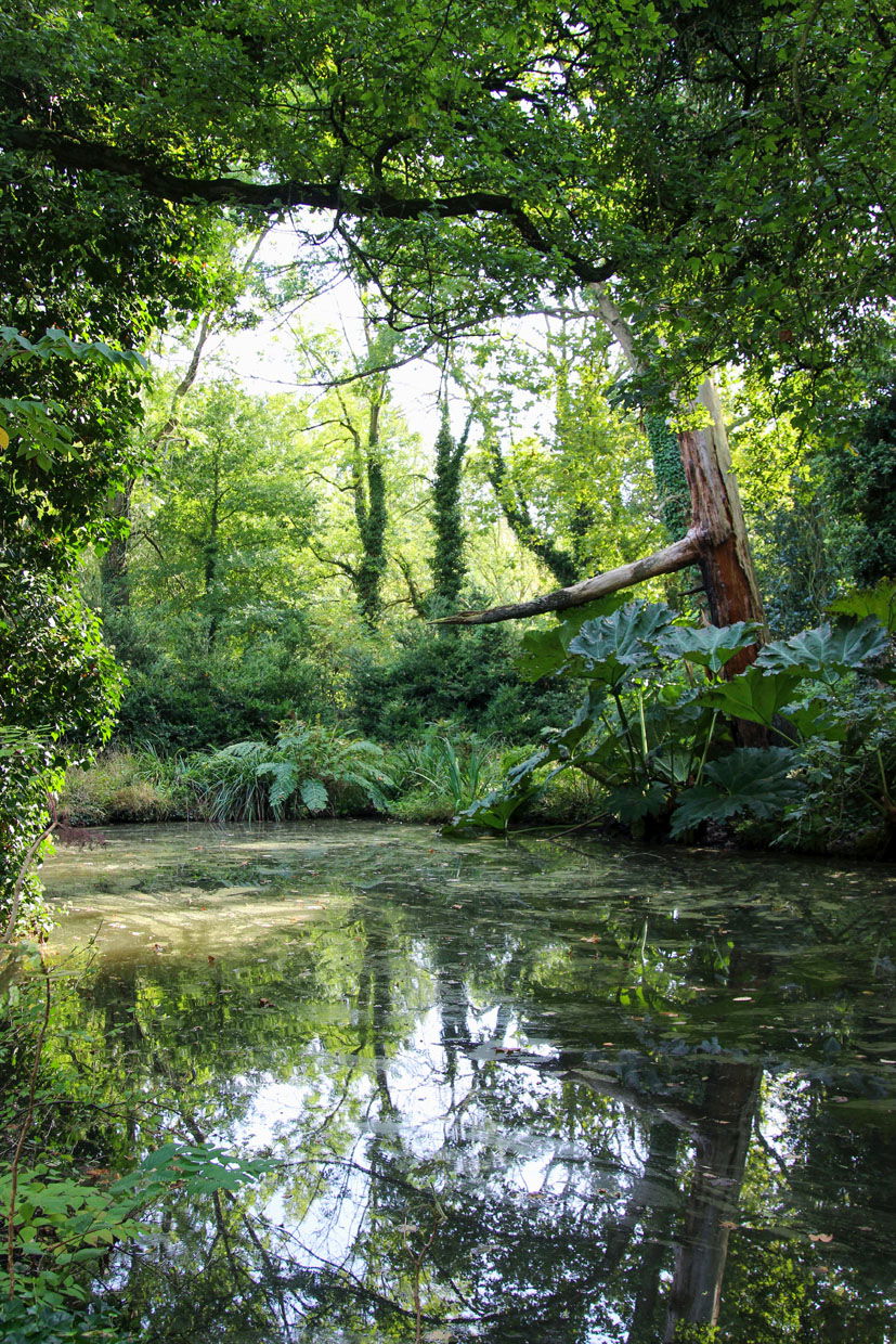 museum insel hombroich