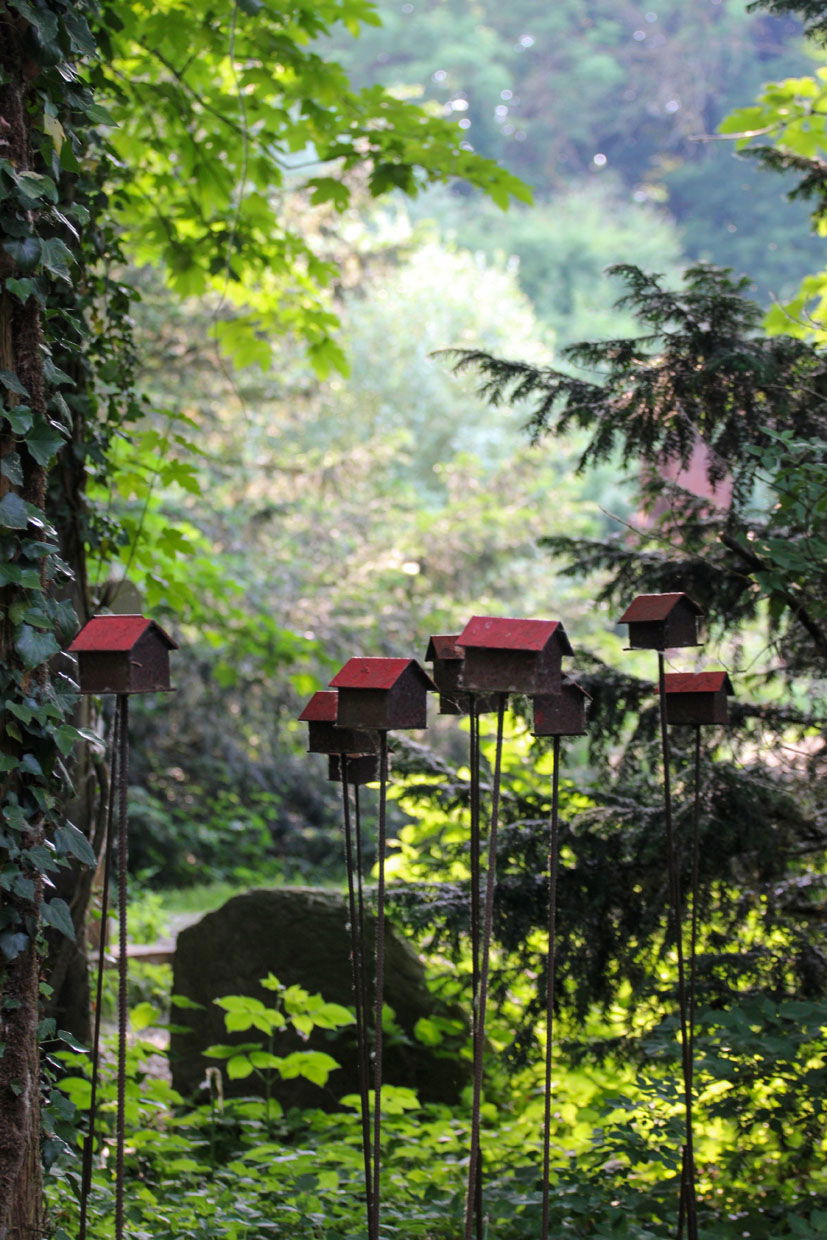 Museum Insel Hombroich, Natur