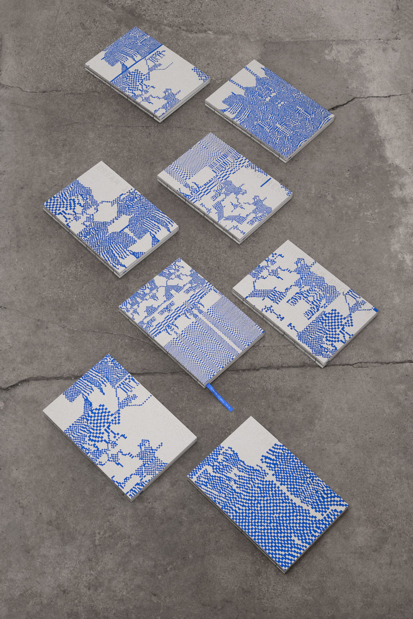 Buch Dream in Progress, 8 Cover Varianten