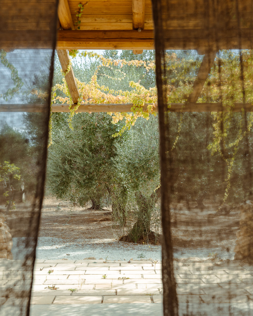 Trullo Corni di Fiasco